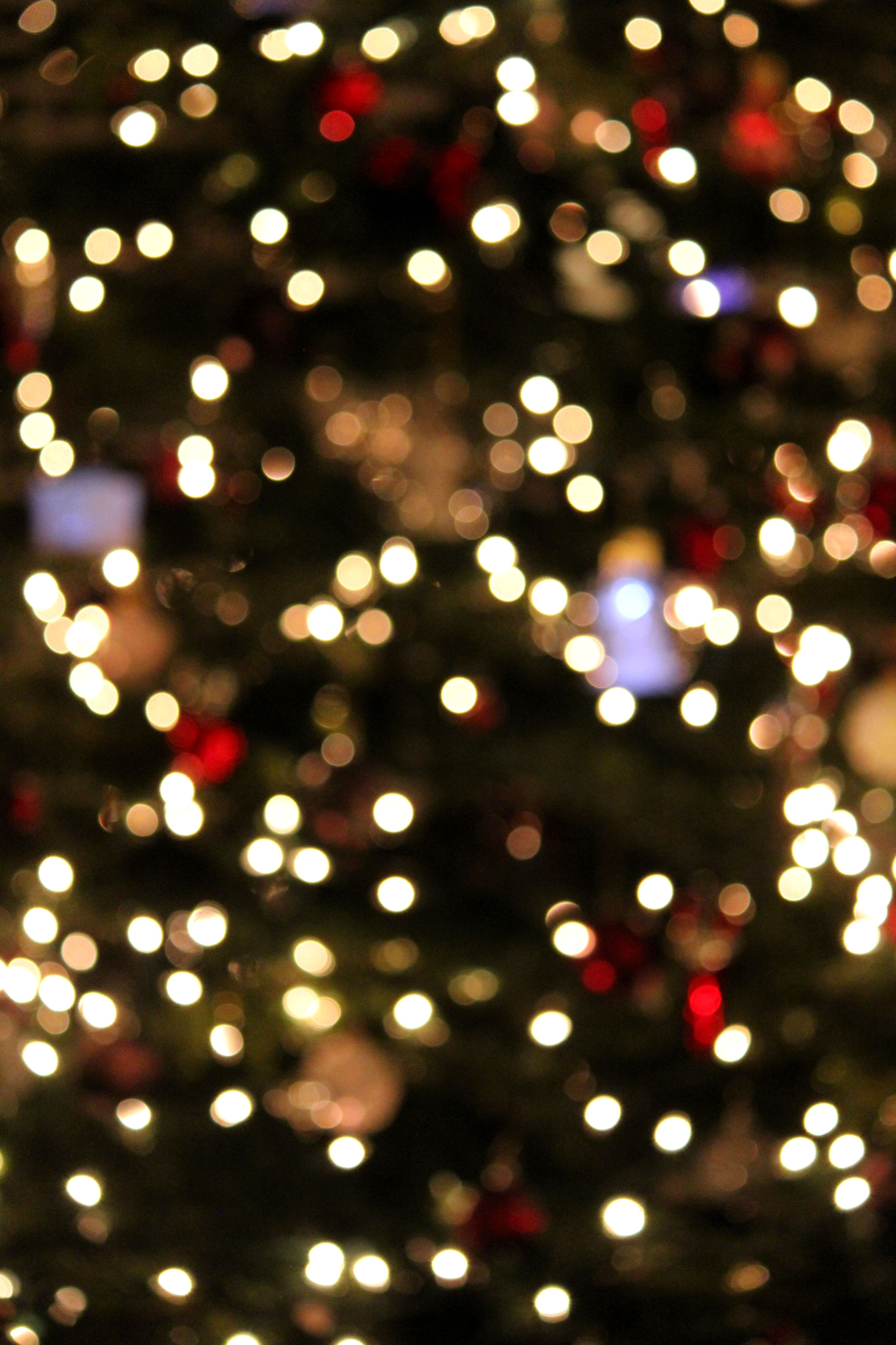 Christmas Mood: ON Bokeh. Christmas lights