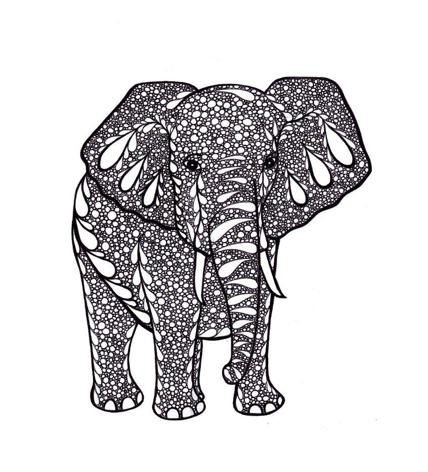 Coloring: Elephant Mandala Security