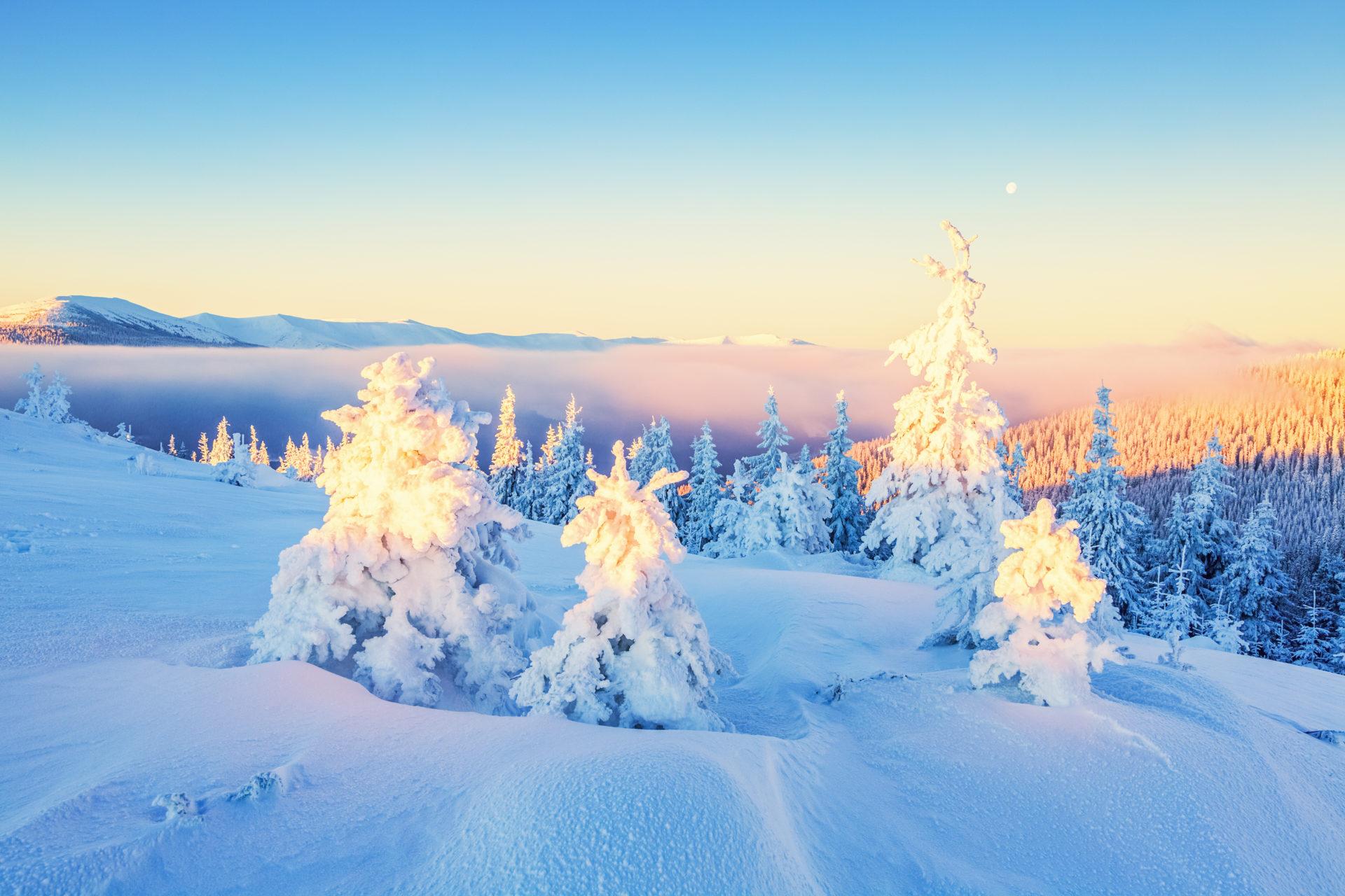 My Winter HD Wallpaper New Tab Theme