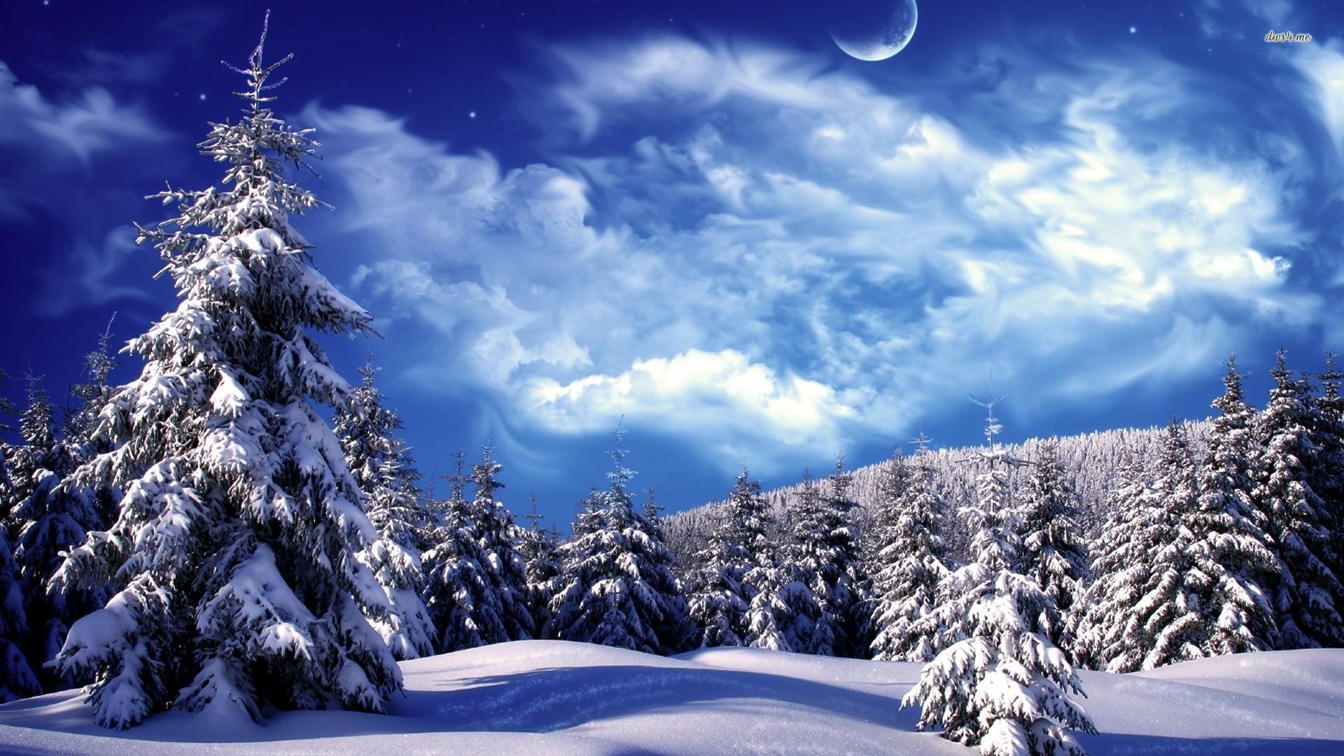 Download Winter Wonderland iPhone Wallpaper, HD Background