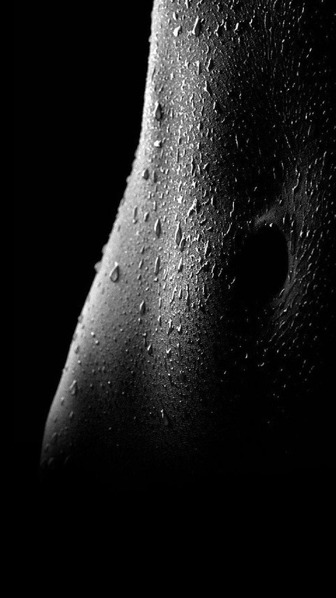 Dark Nature Wallpaper 7 Wallpaper Black Free