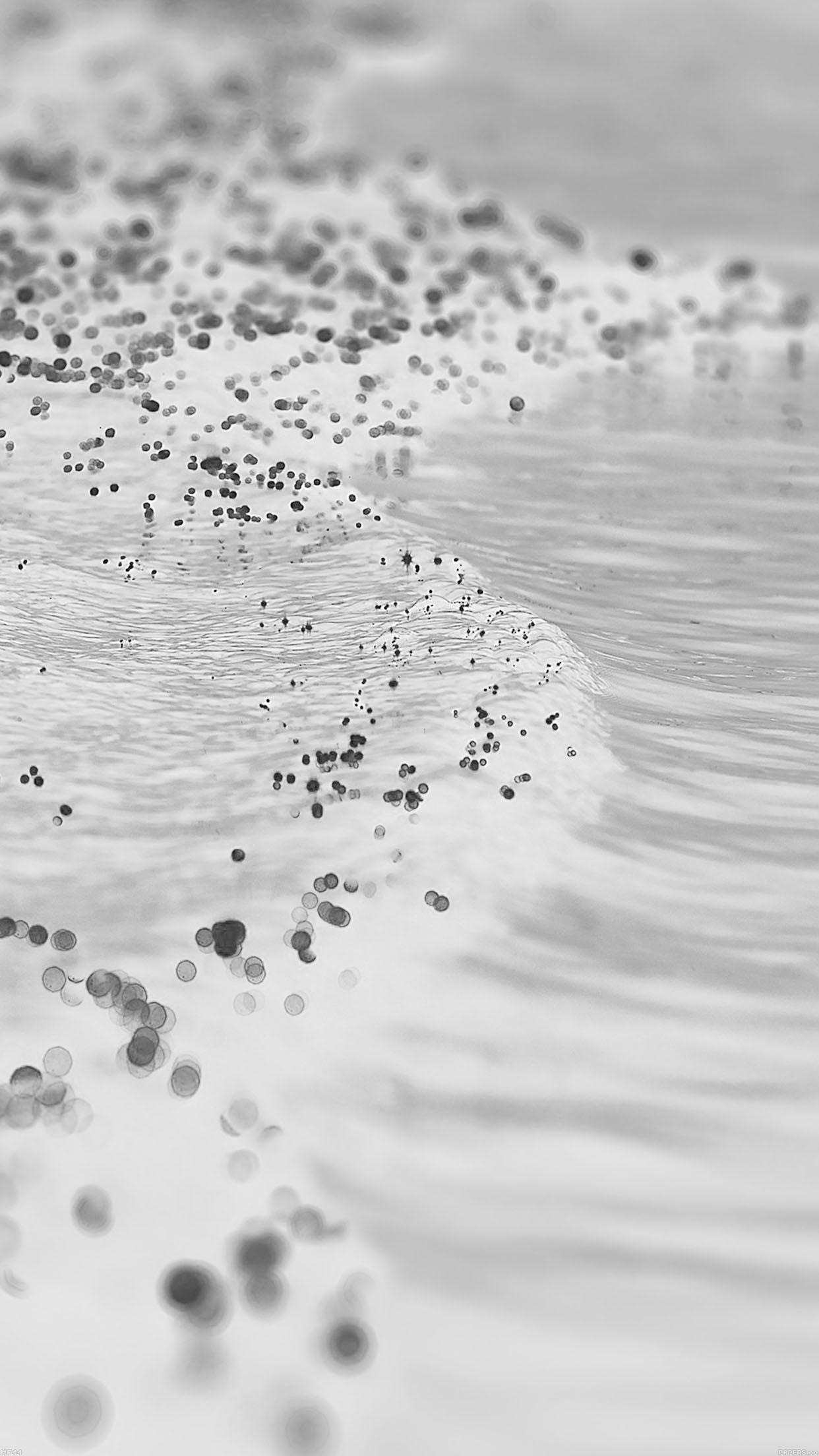 Gold Sea White Black Sunset Ocean Nature Android Wallpaper