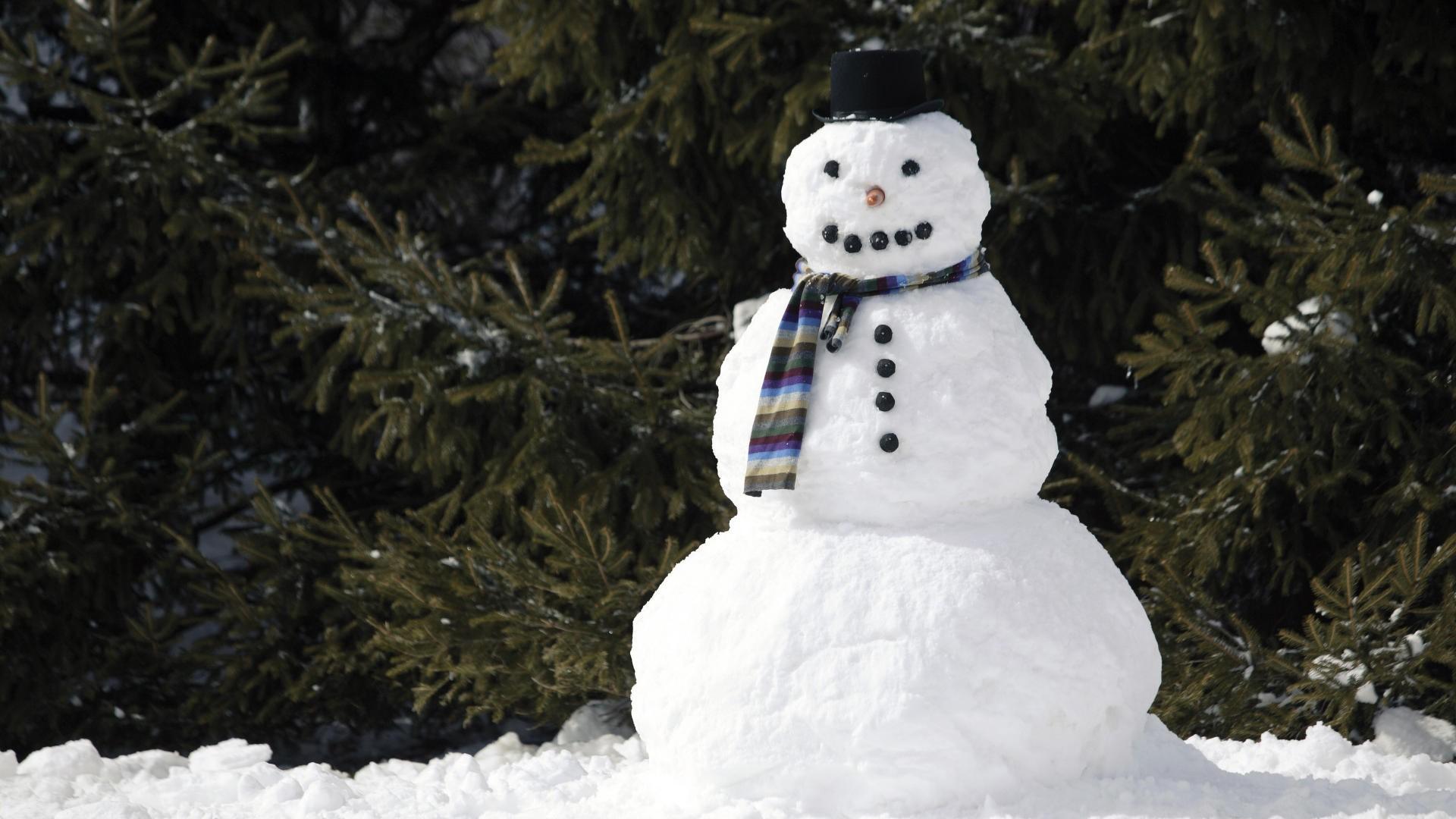 Snowman with a scarf wallpaper and image