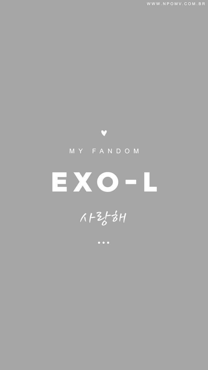 Download EXO Fandom Wallpaper