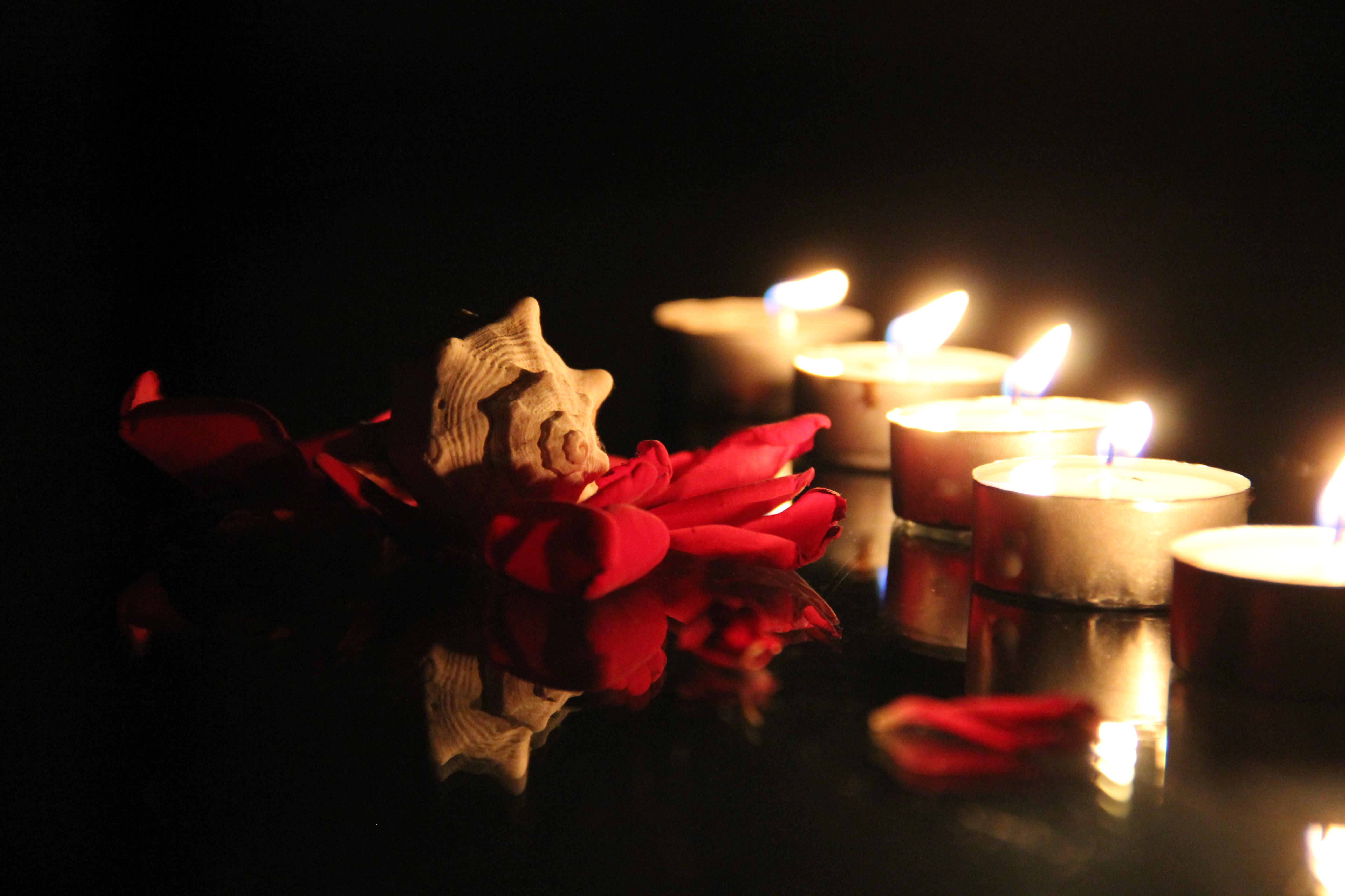 Candle and Roses Desktop Wallpaper