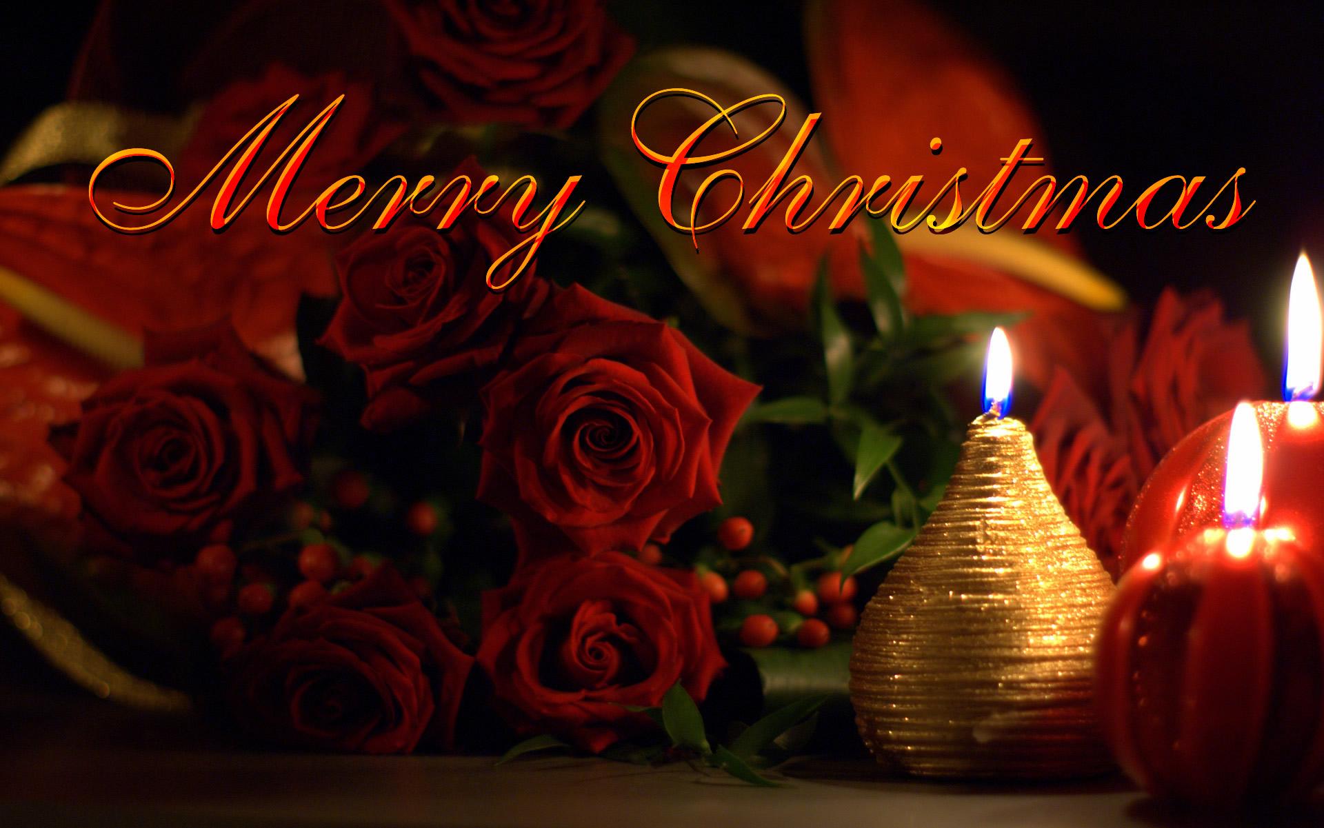 Merry Christmas Ecard Beautiful Roses And Candles Fre Hd