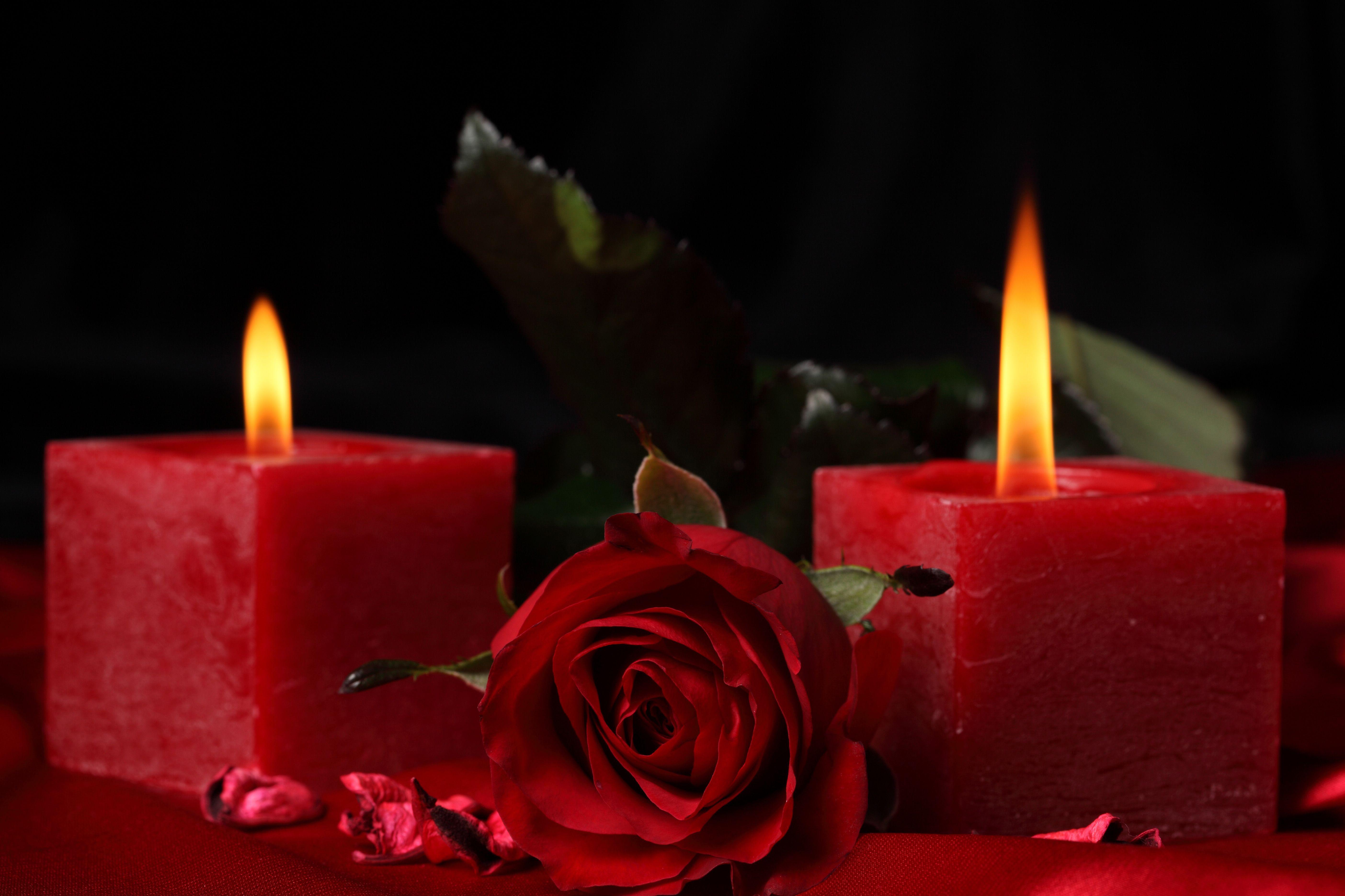 Love And Romance Flowers. romance, beautiful, candle, cool