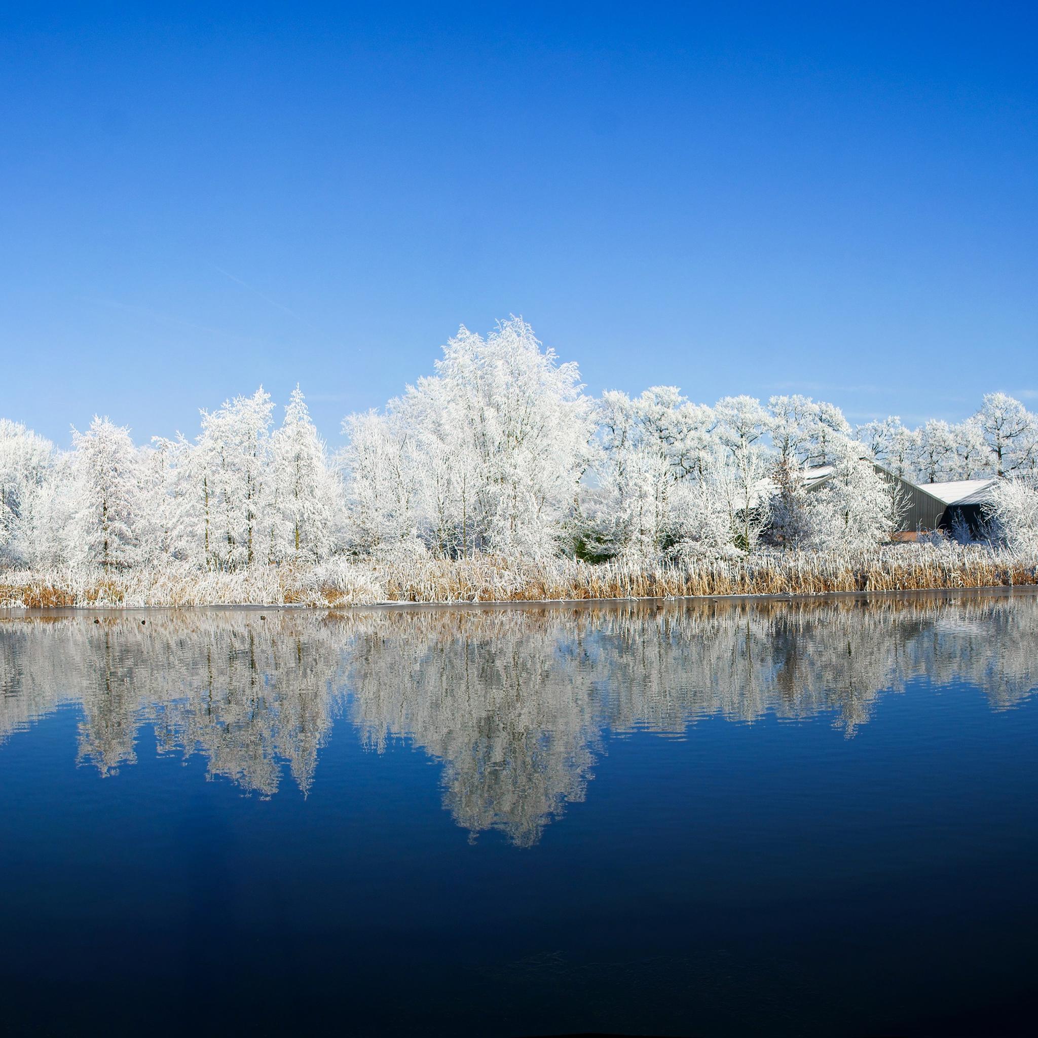 Panoramic Photography Winter iPad Air Wallpaper Free Download
