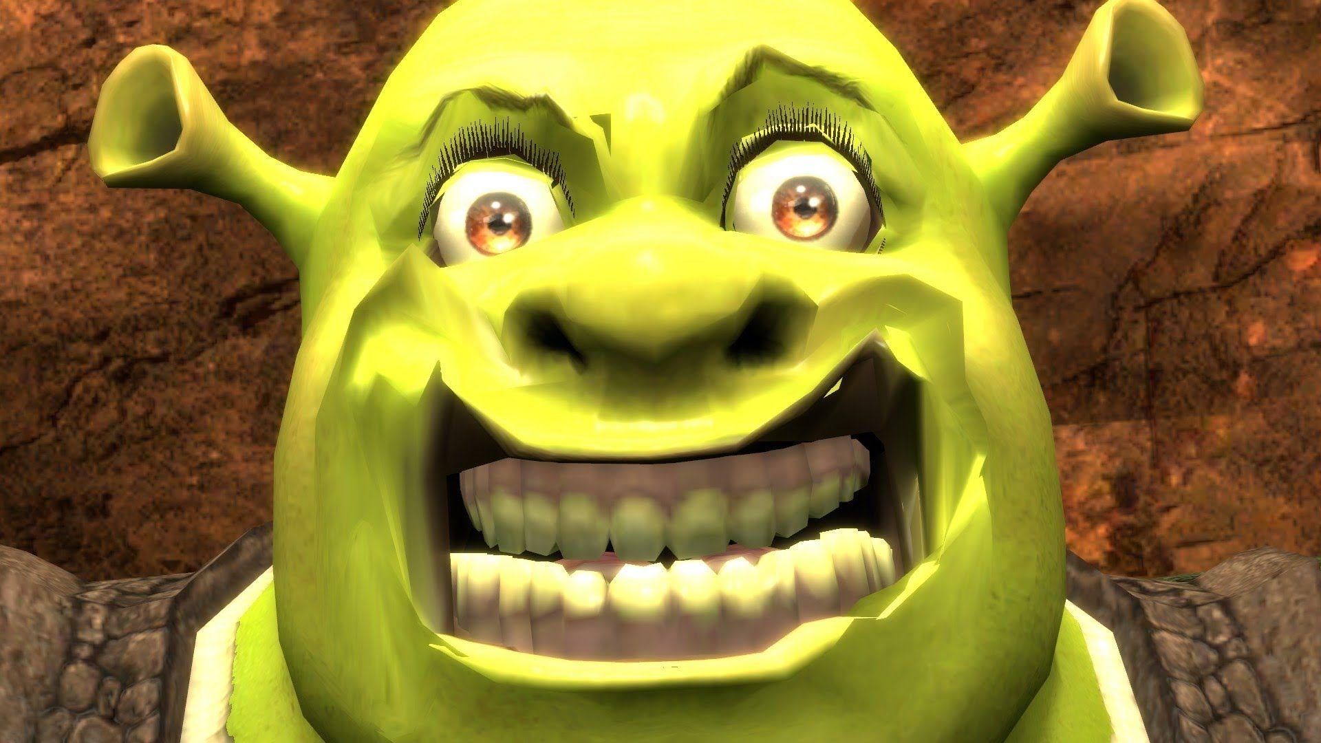 Shrek and Fiona HD Background for Android Cartoons Wallpapers Shrek  Wallpaper Wallpapers