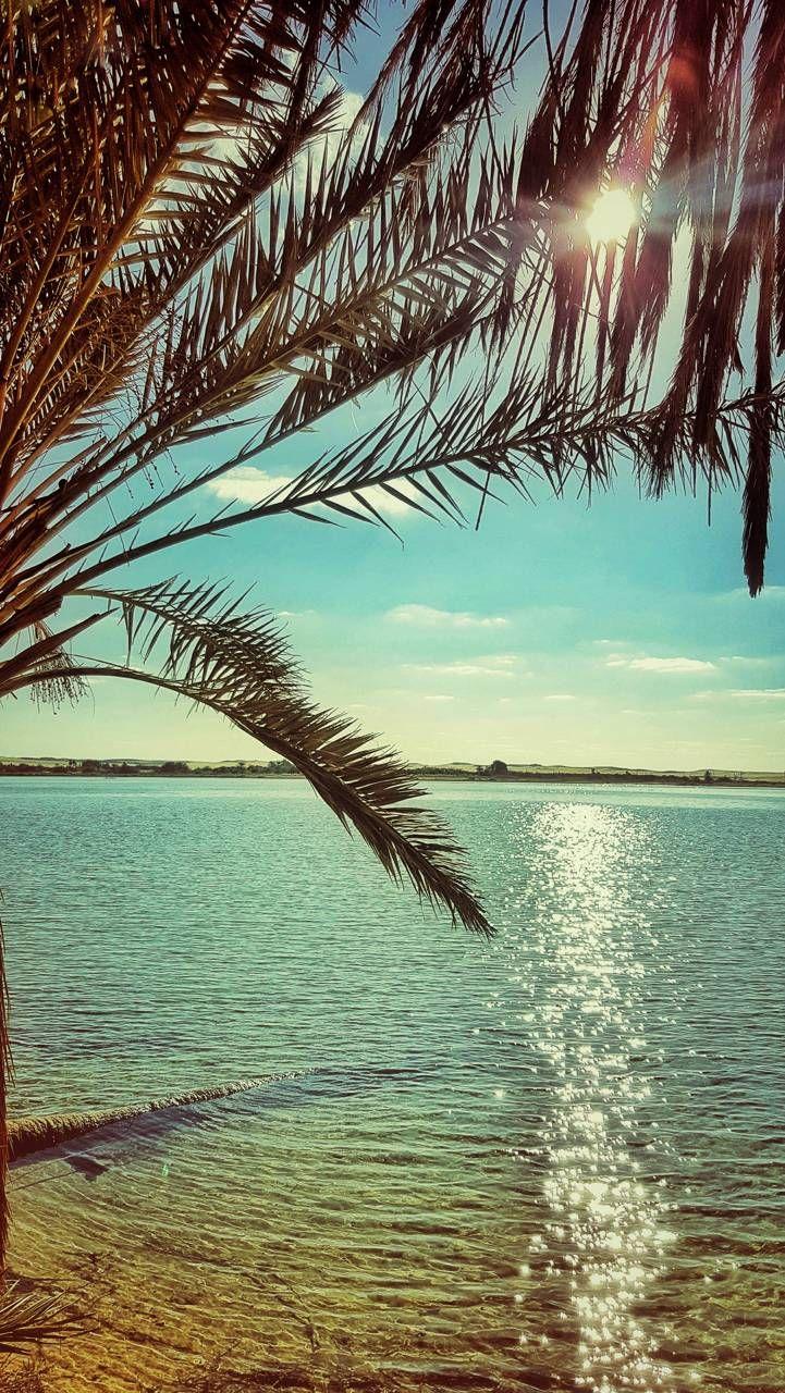Paradise wallpaper