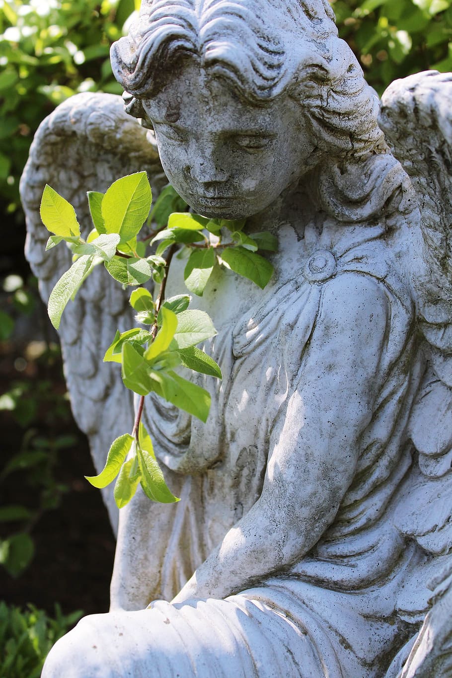 HD wallpaper: Angel, Statue, Nature, Cemetery, Grave
