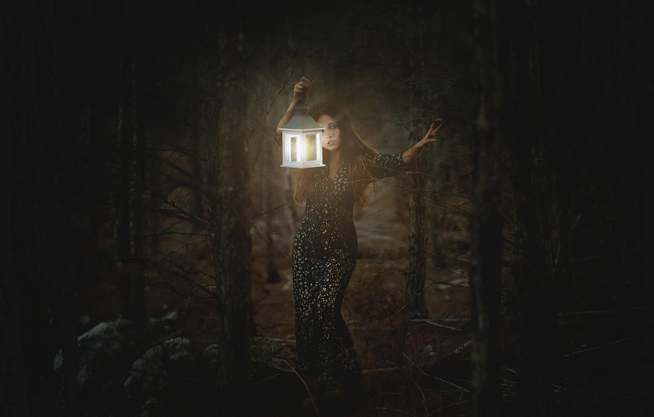 Wallpaper forest, girl, light, darkness, lantern image