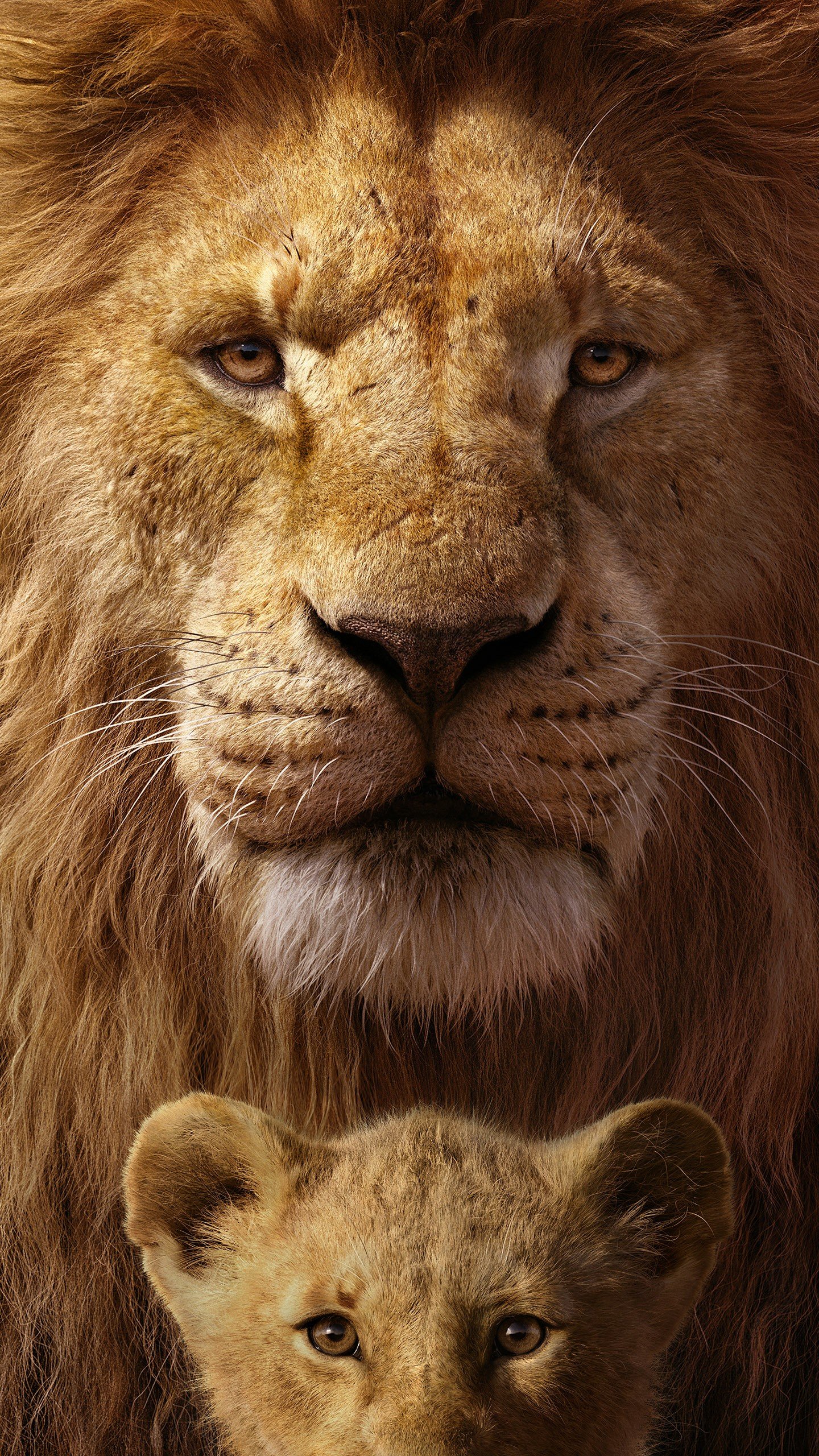 Iphone X Wallpaper Hd Lion