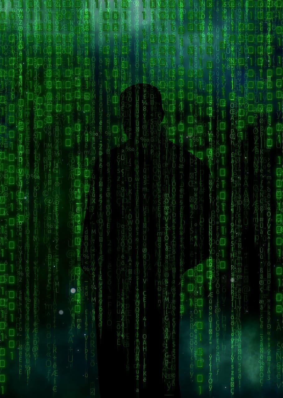 HD wallpaper: green binary wallpaper, code, hacker, data, security, technology