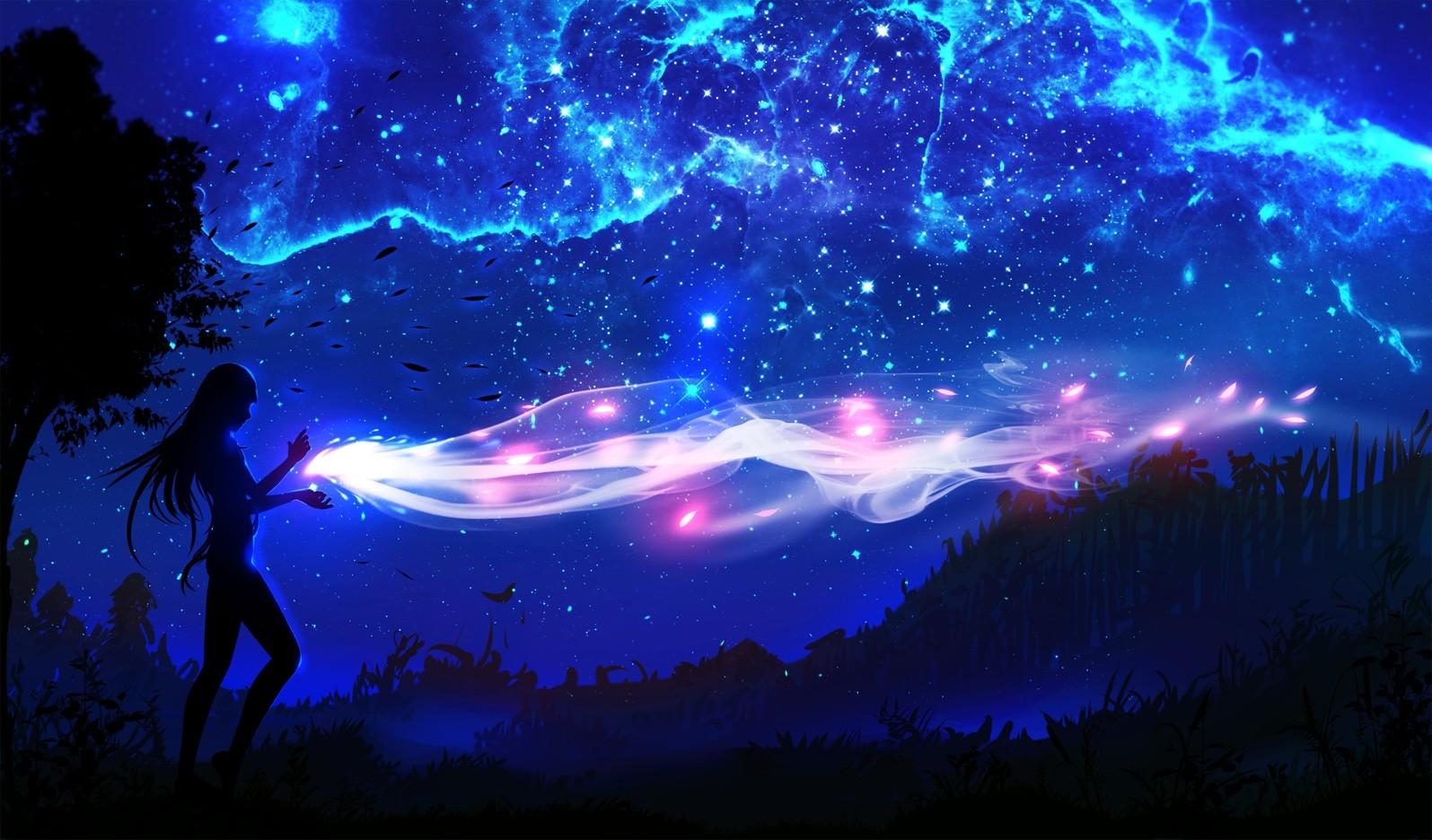 Anime Art Girl Night Flowers Sky HD Wallpaper