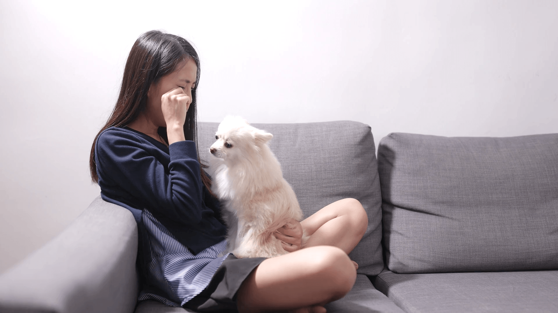Crying Woman At Home And Dog Licking Her Stock Video
