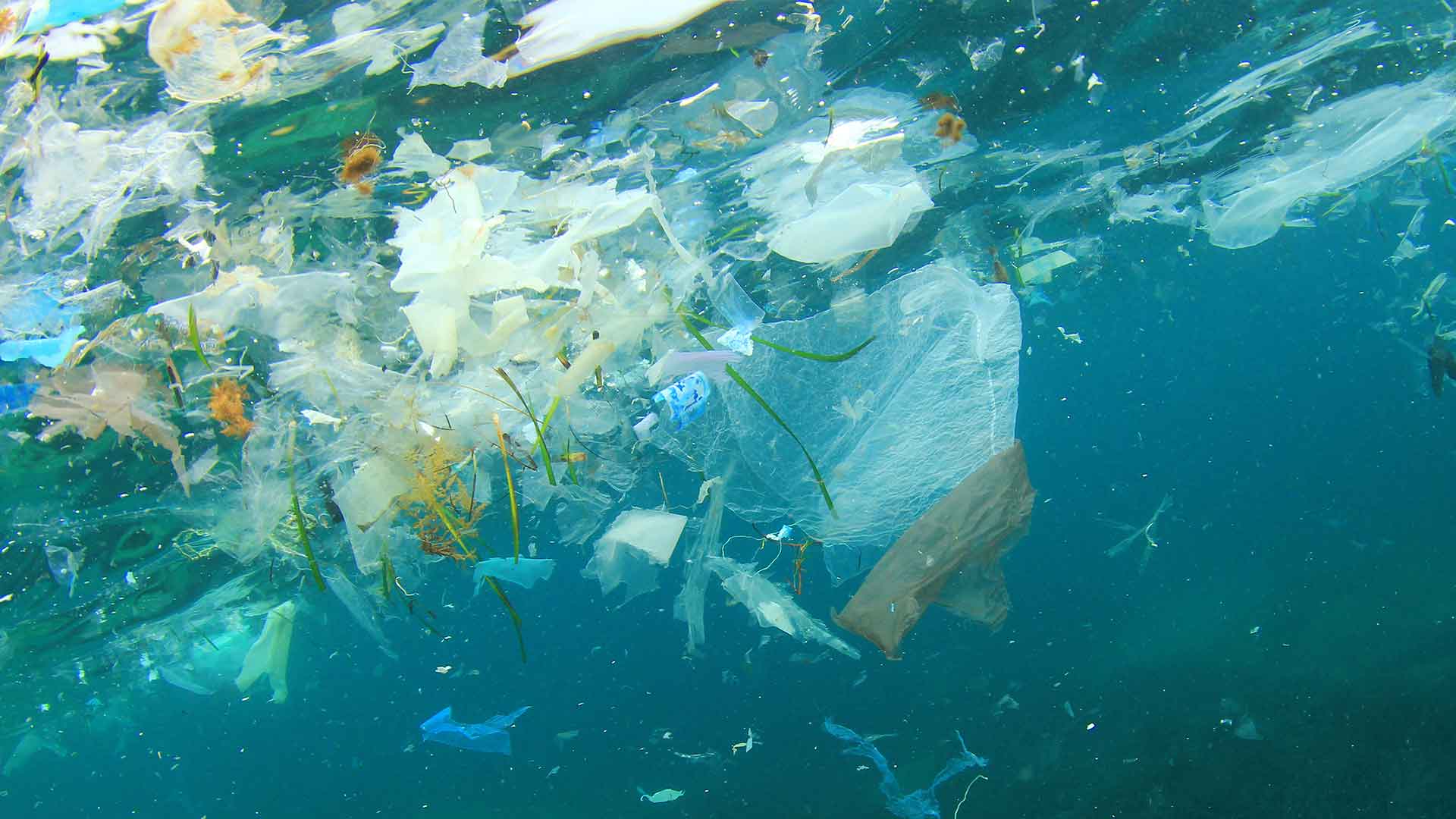 Reducing plastic pollution in our oceans