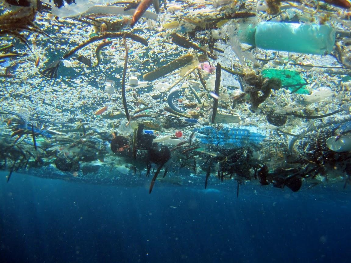 The 10 most insane image of plastic suffocating our oceans