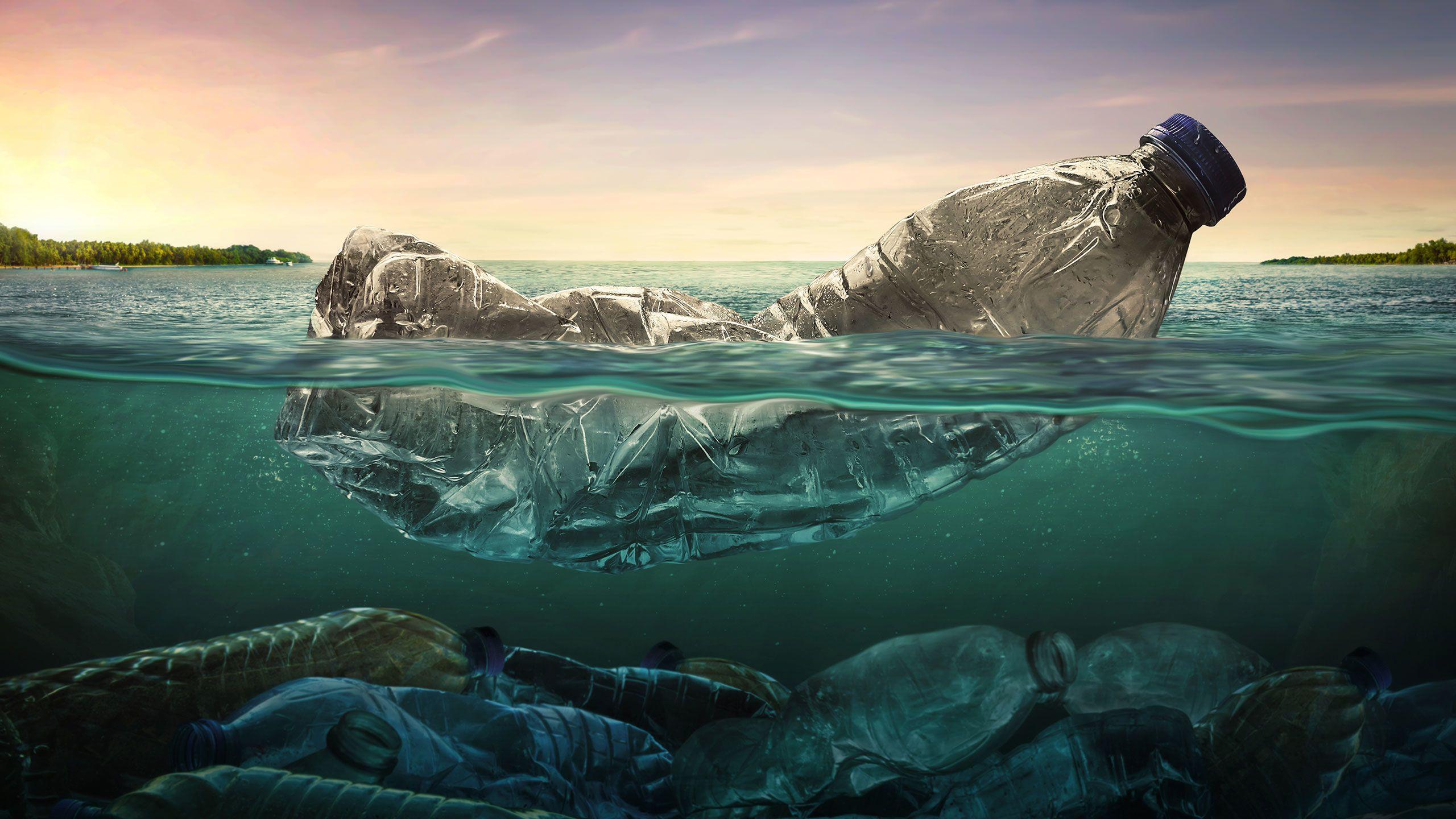 The Ocean's Deadliest Predator: Why We Need To Stop Plastic