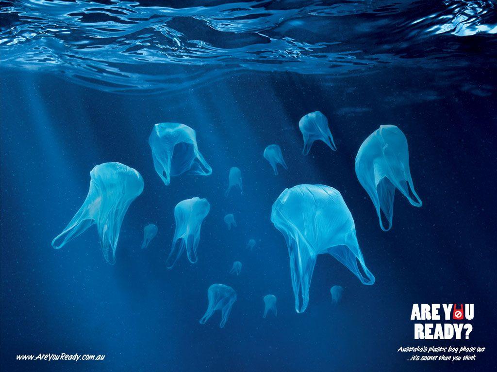 Image result for plastic bag pollution image. Jellyfish