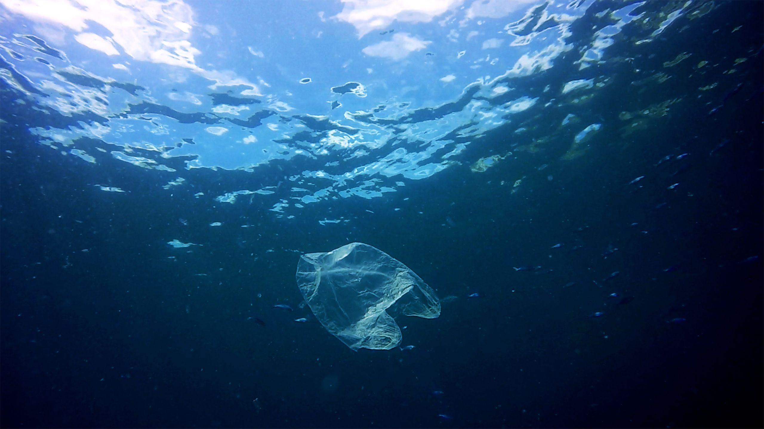 Turning the tide on plastic pollution