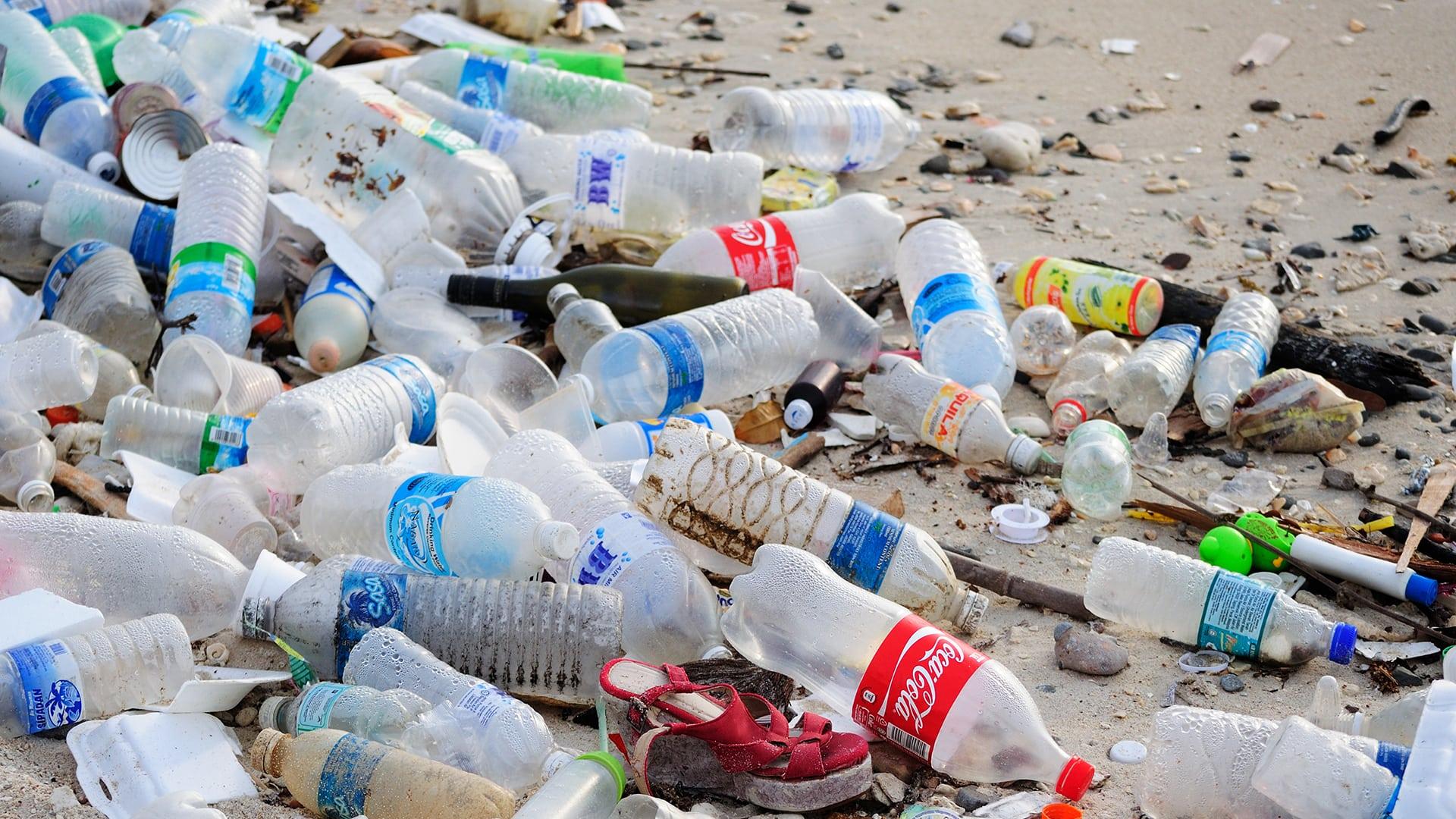 Plastic Waste: 47 Year Old Bottle Found