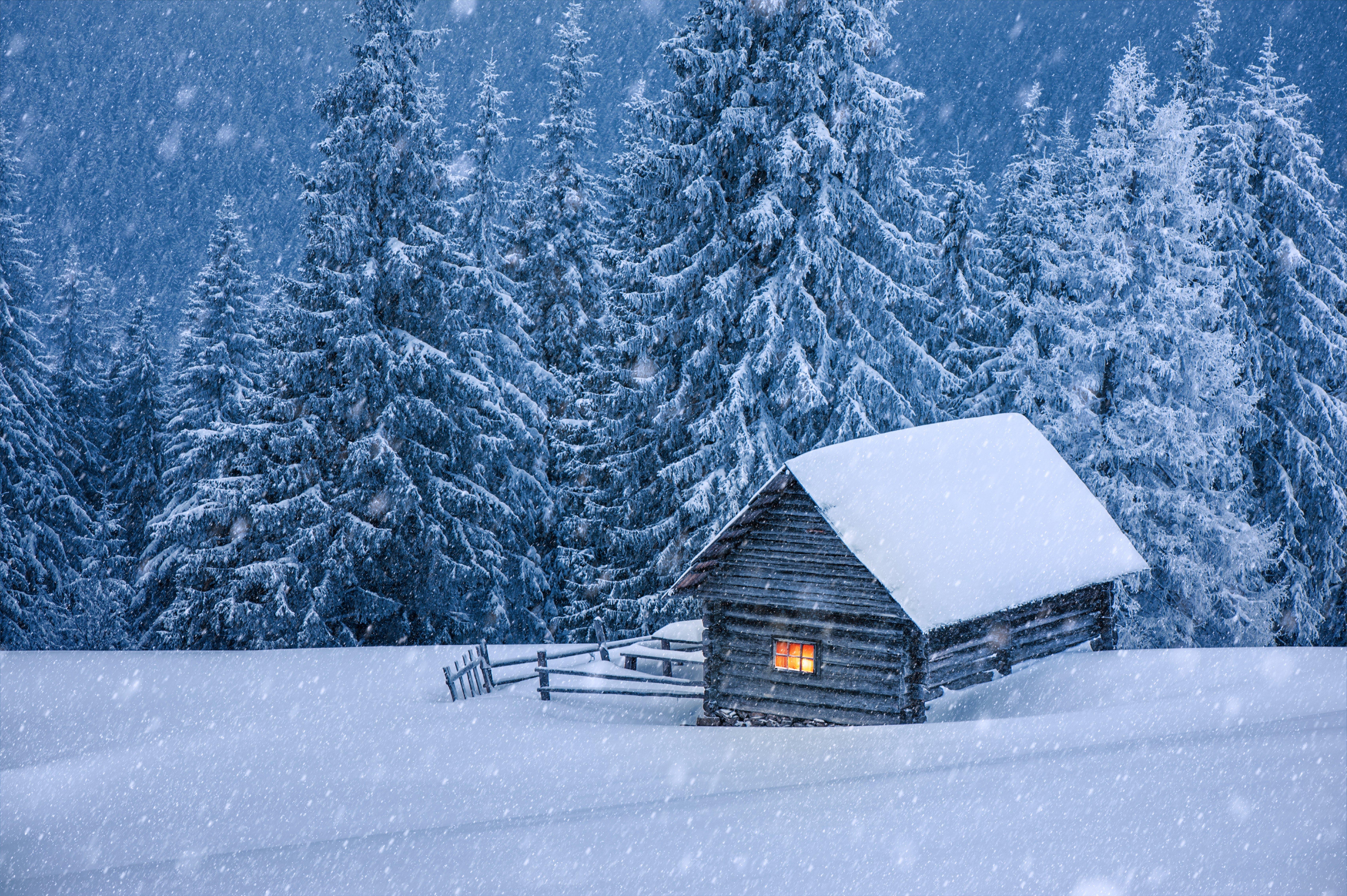 Nature hut forest snow winter trees cabin wallpaper