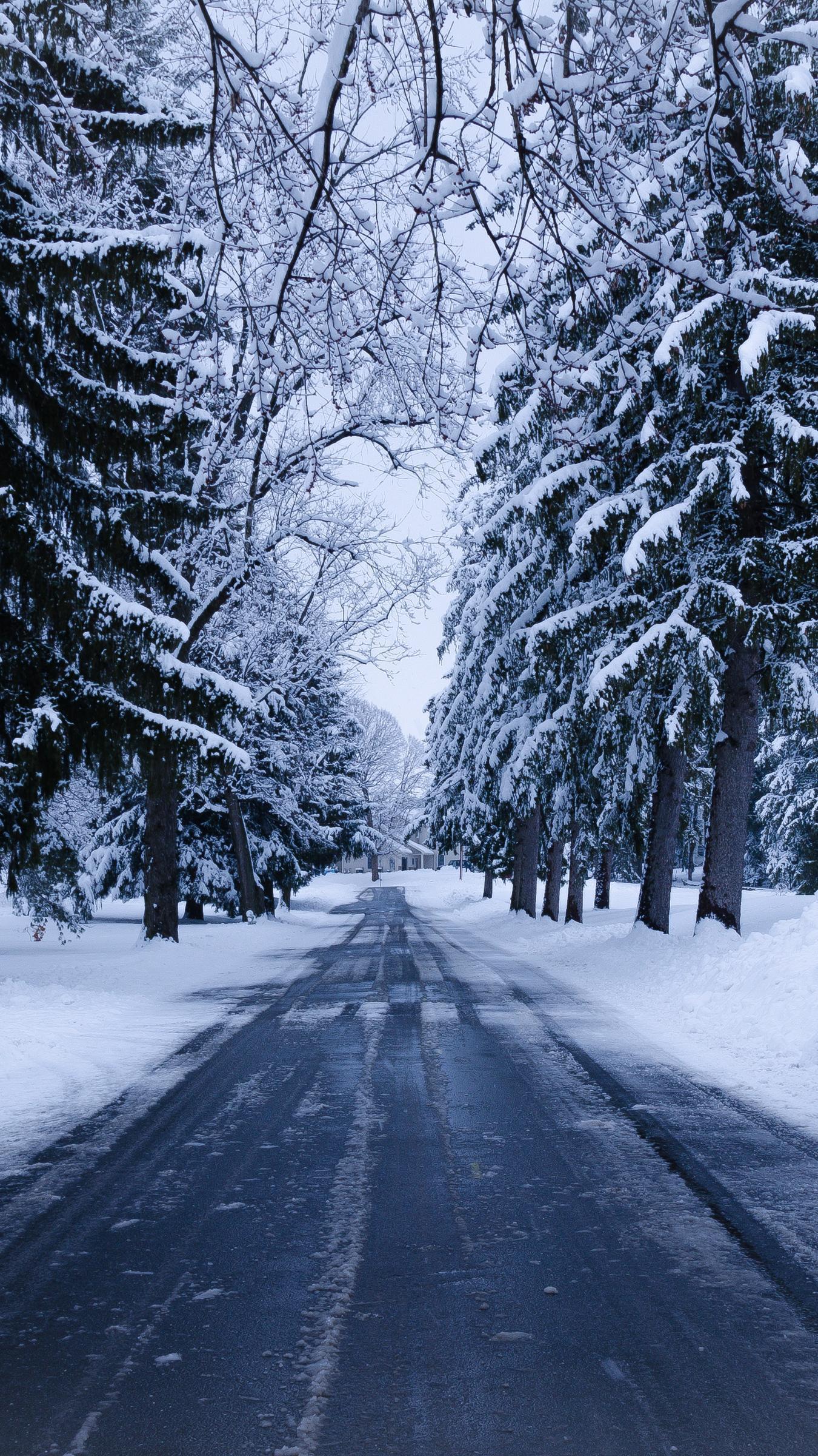 Download wallpaper 1350x2400 winter, road, snow, trees