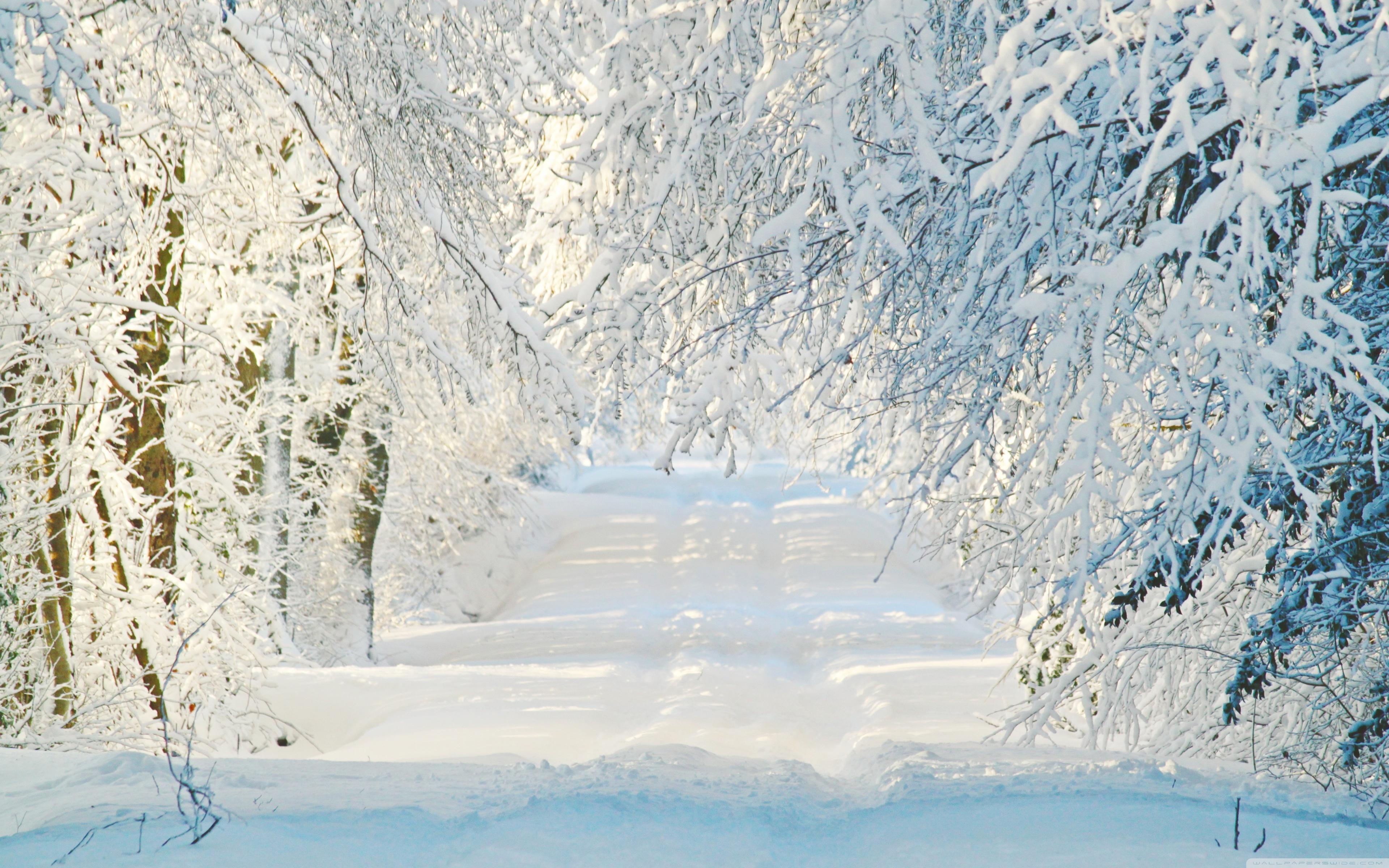 Snowy Road, Winter Ultra HD Desktop Background Wallpaper
