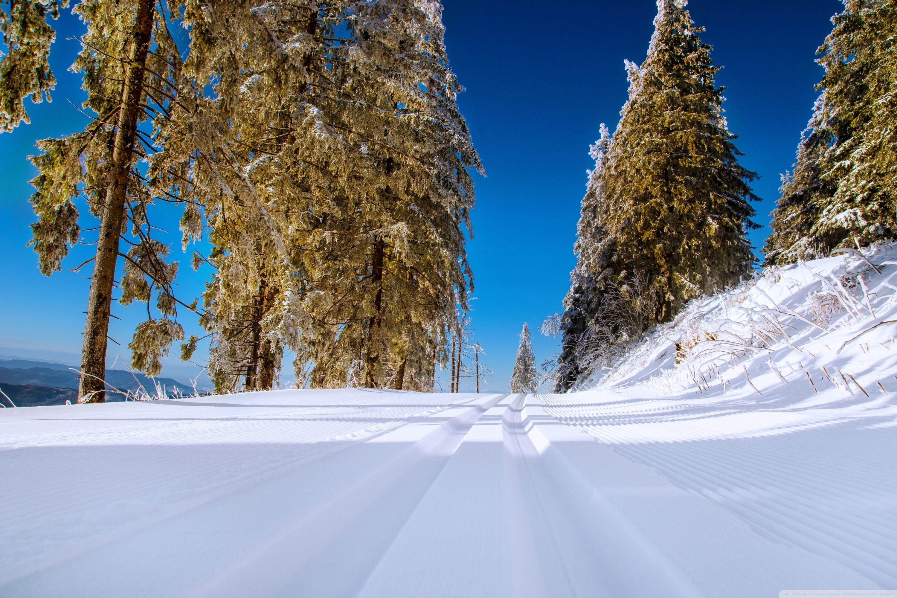 Winter Snowy Road Scenery Ultra HD Desktop Background