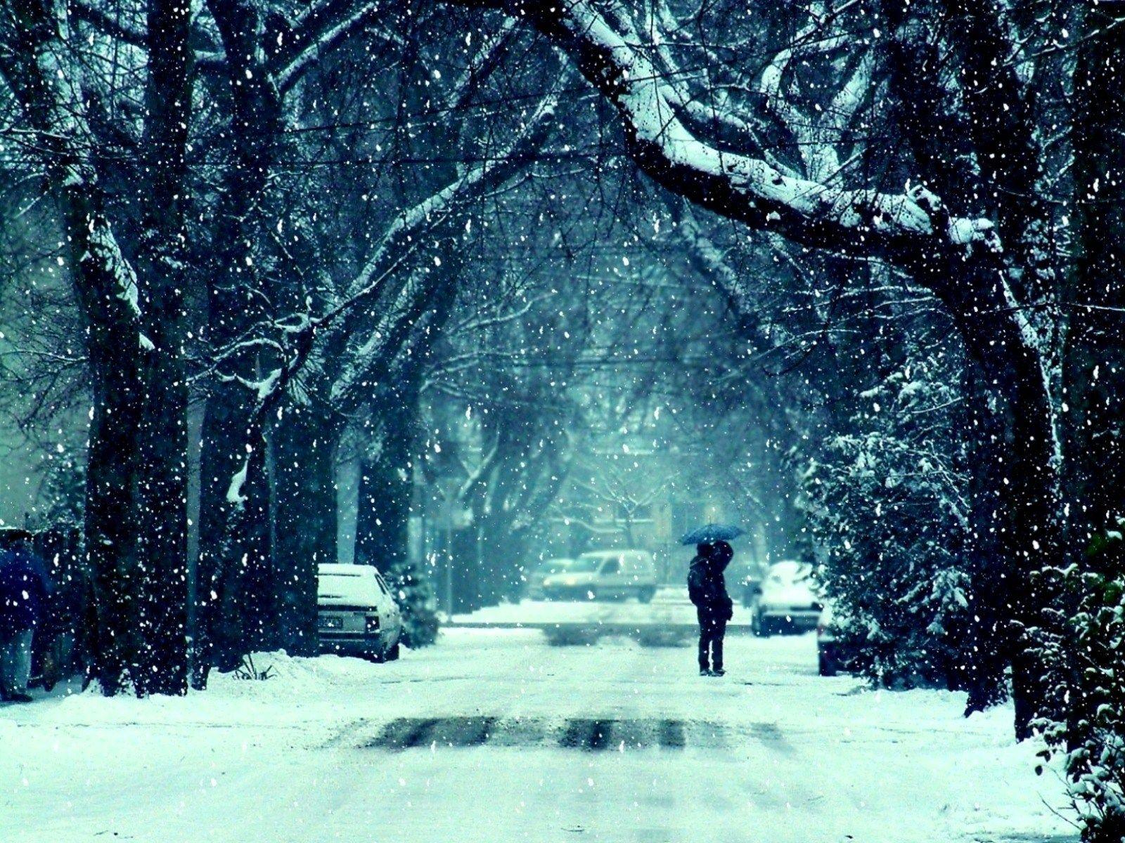 Romantic Winter Night. Winter Frost Snow Road Trees Couple