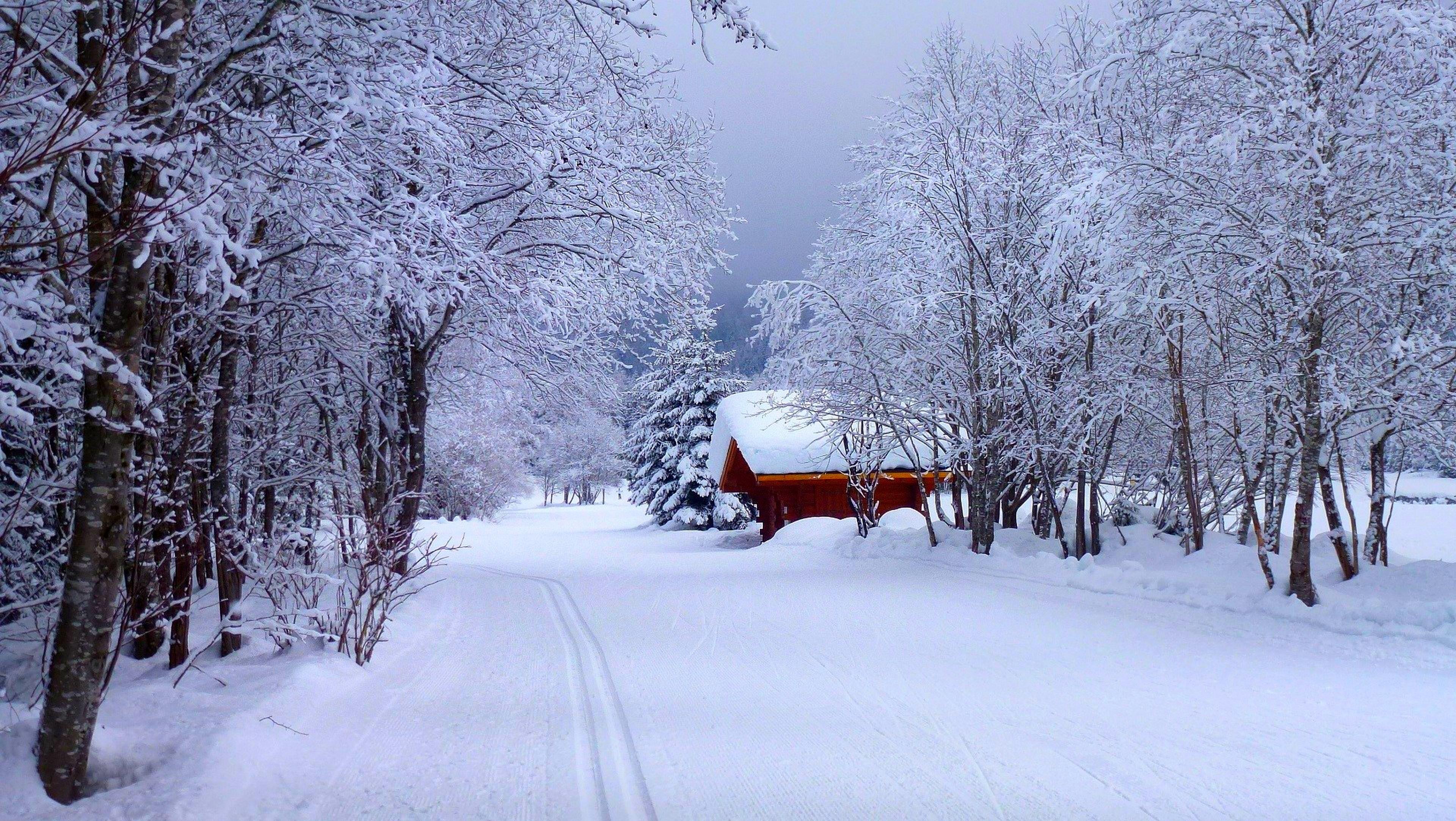 Download wallpaper winter, road, forest, the sky, snow