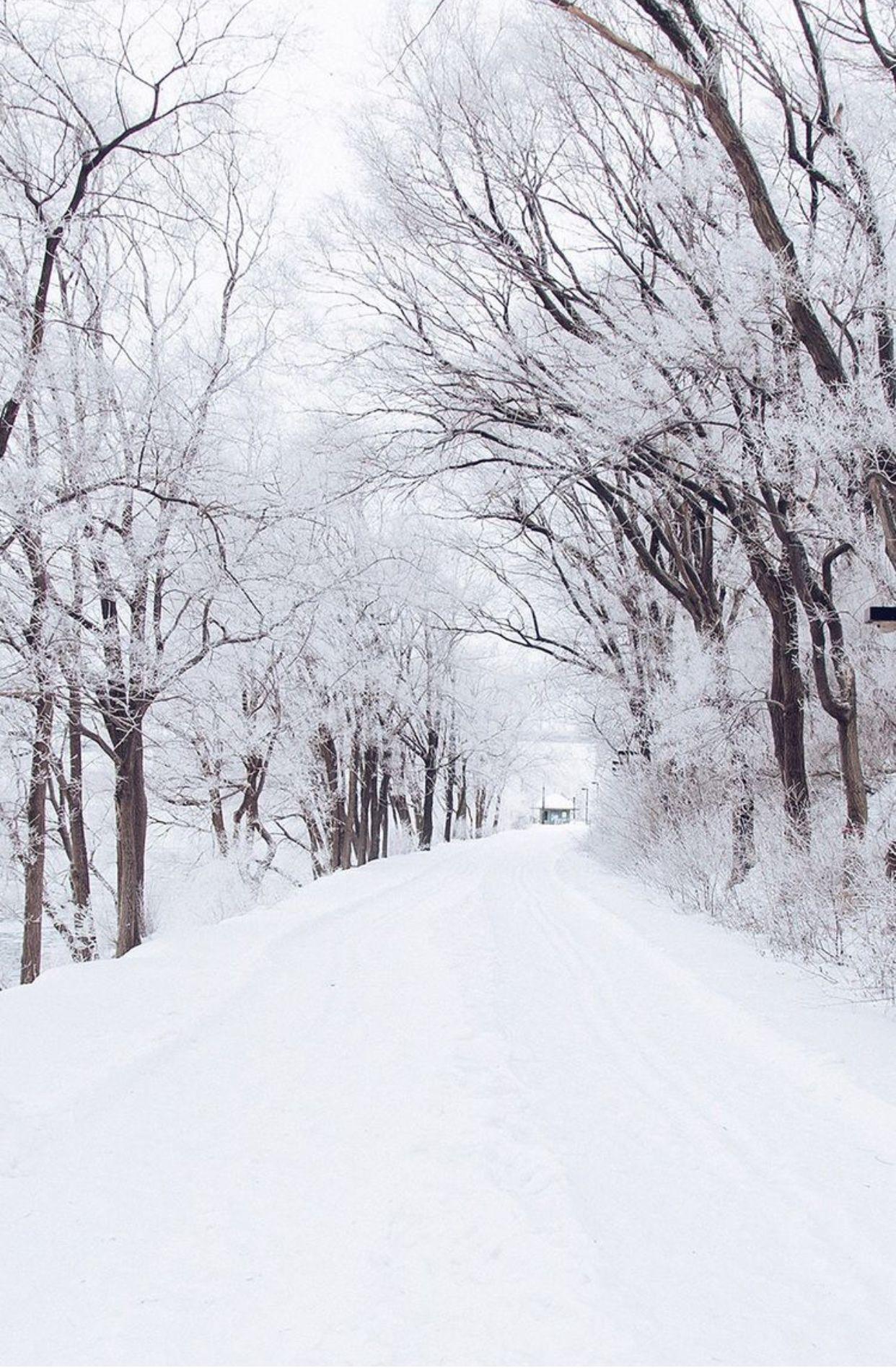 snowy road, freshly plowed. Winter wallpaper, Romantic