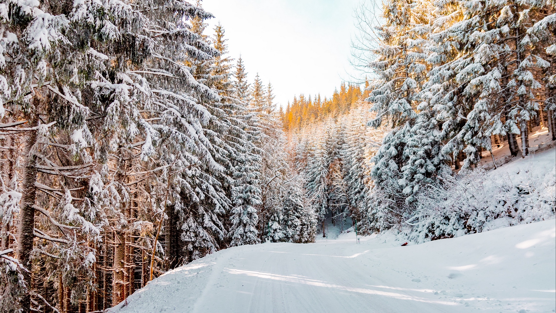 Download wallpaper 1920x1080 forest, winter, snow, road, sky