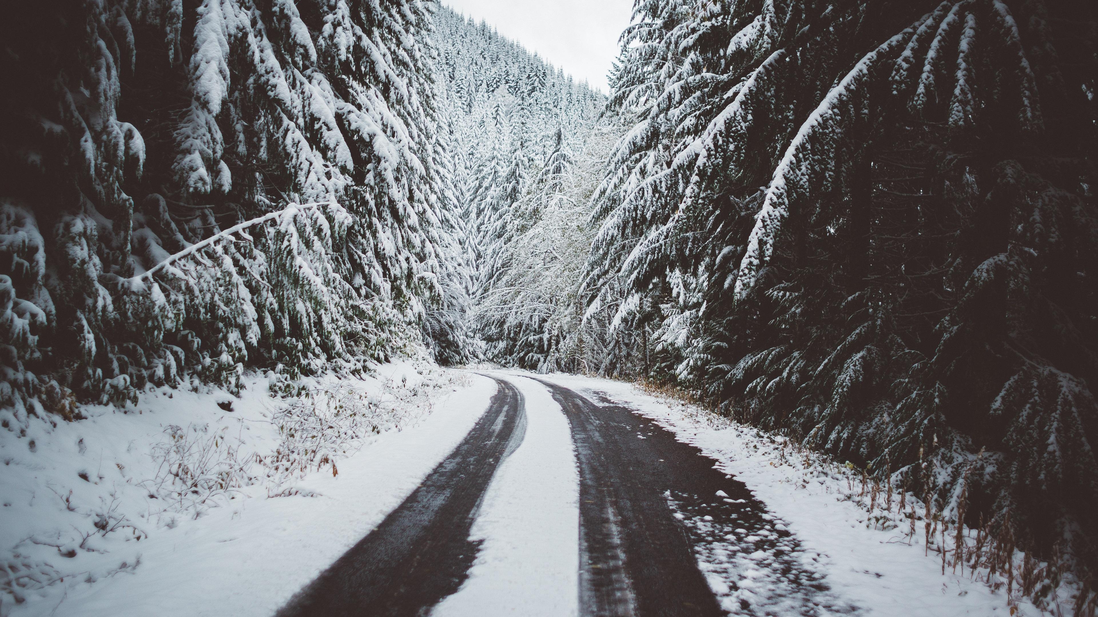 Wallpaper Winter, trees, snow, road 3840x2160 UHD 4K Picture
