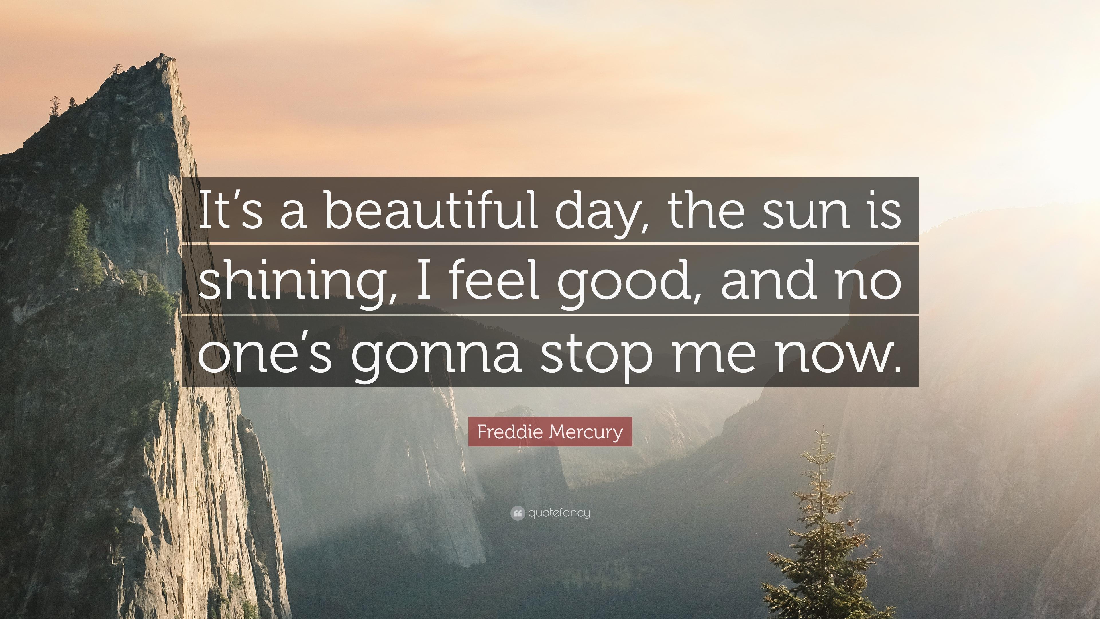 Freddie Mercury Quote: “It's a beautiful day, the sun is