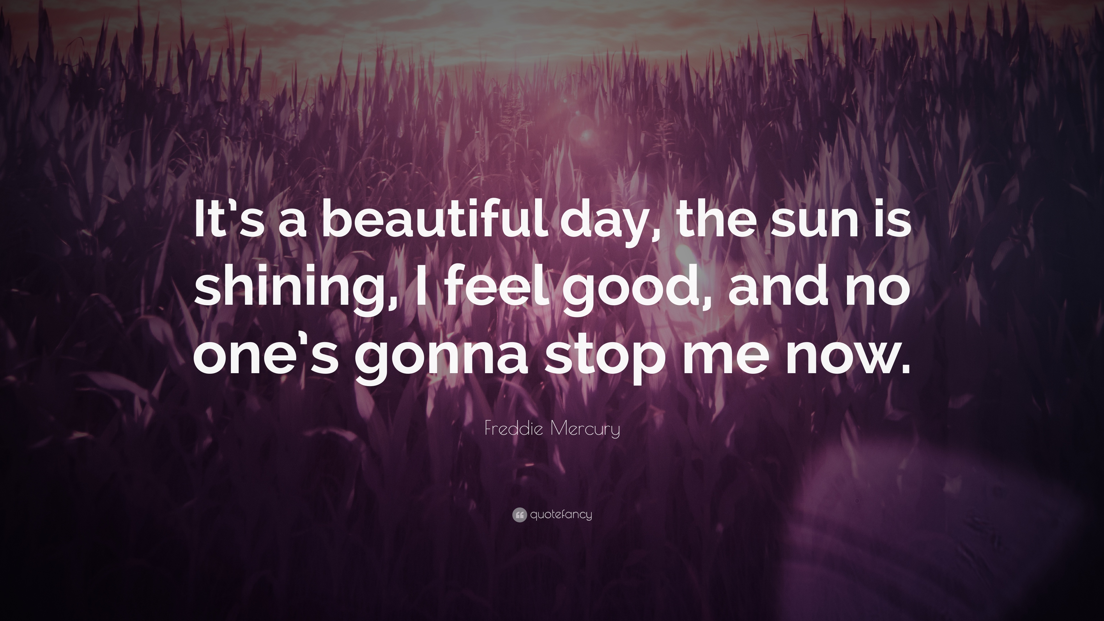 Freddie Mercury Quote: “It's a beautiful day, the sun is