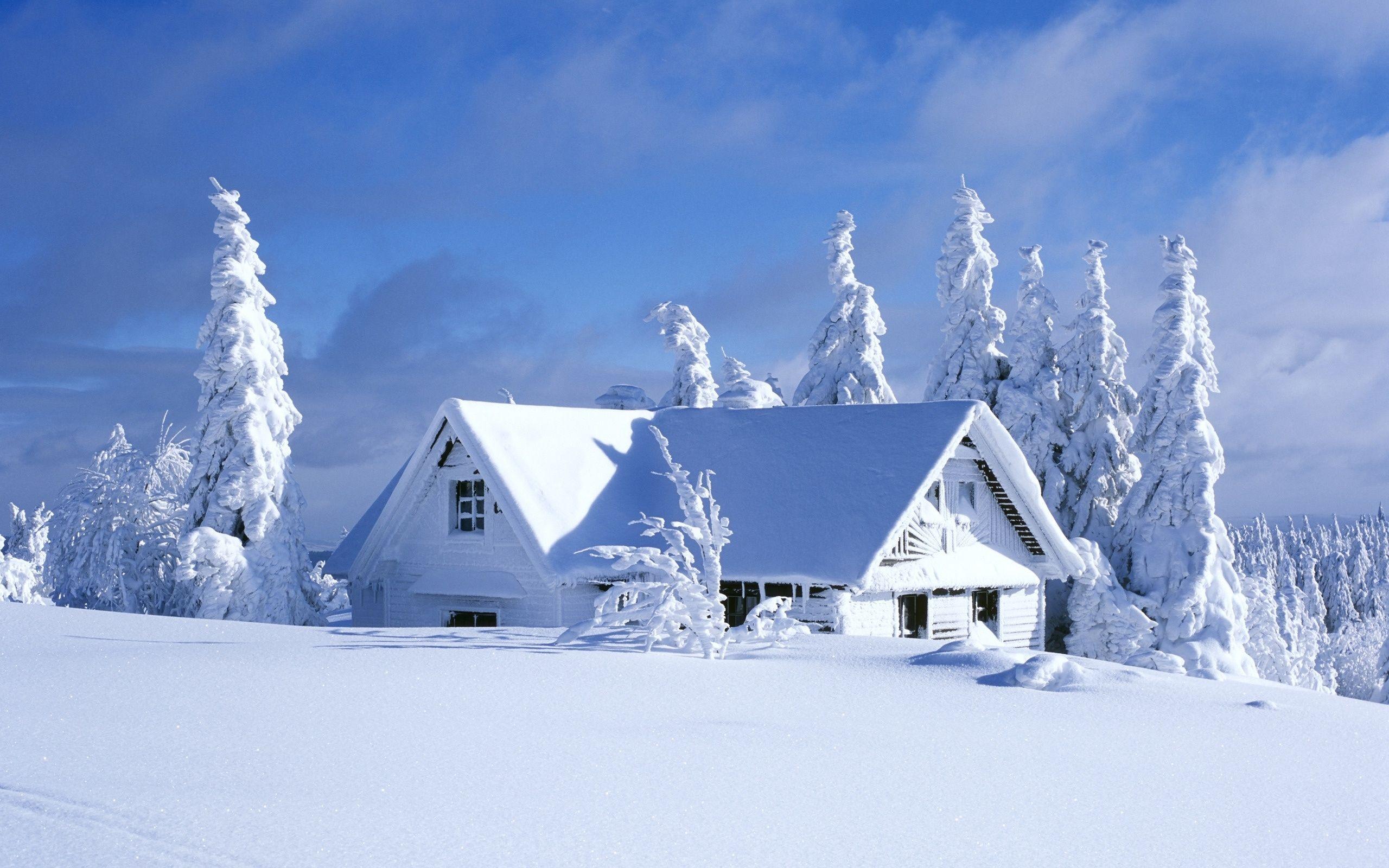 House Covered In Snow wallpaper. Winter snow