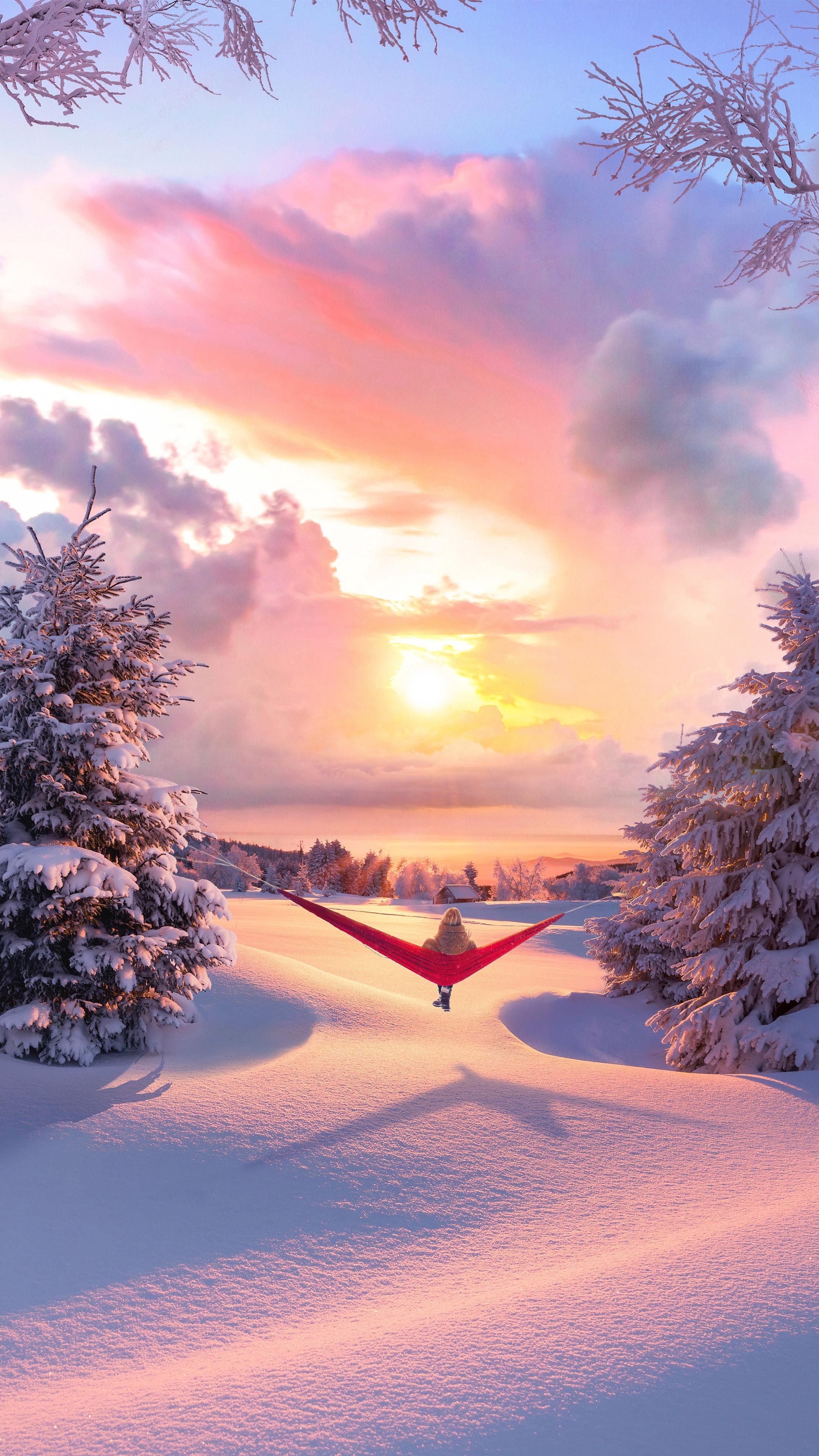 Download wallpaper 2160x3840 hammock, winter, solitude