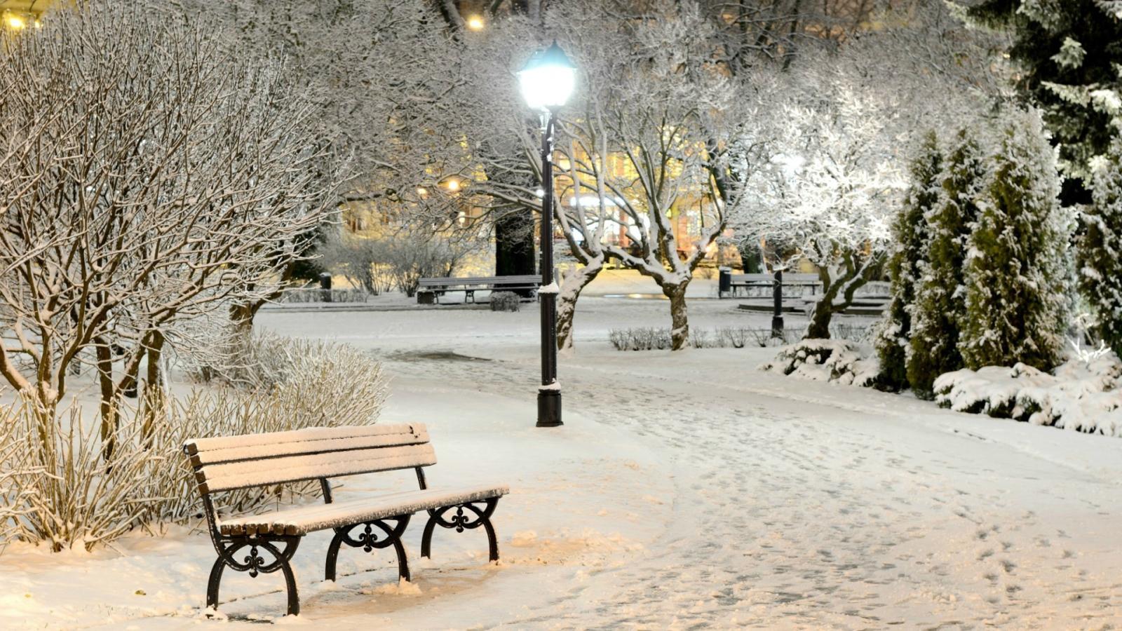 Snow Covered Bench In Winter Park Desktop Wallpaper 1600x900