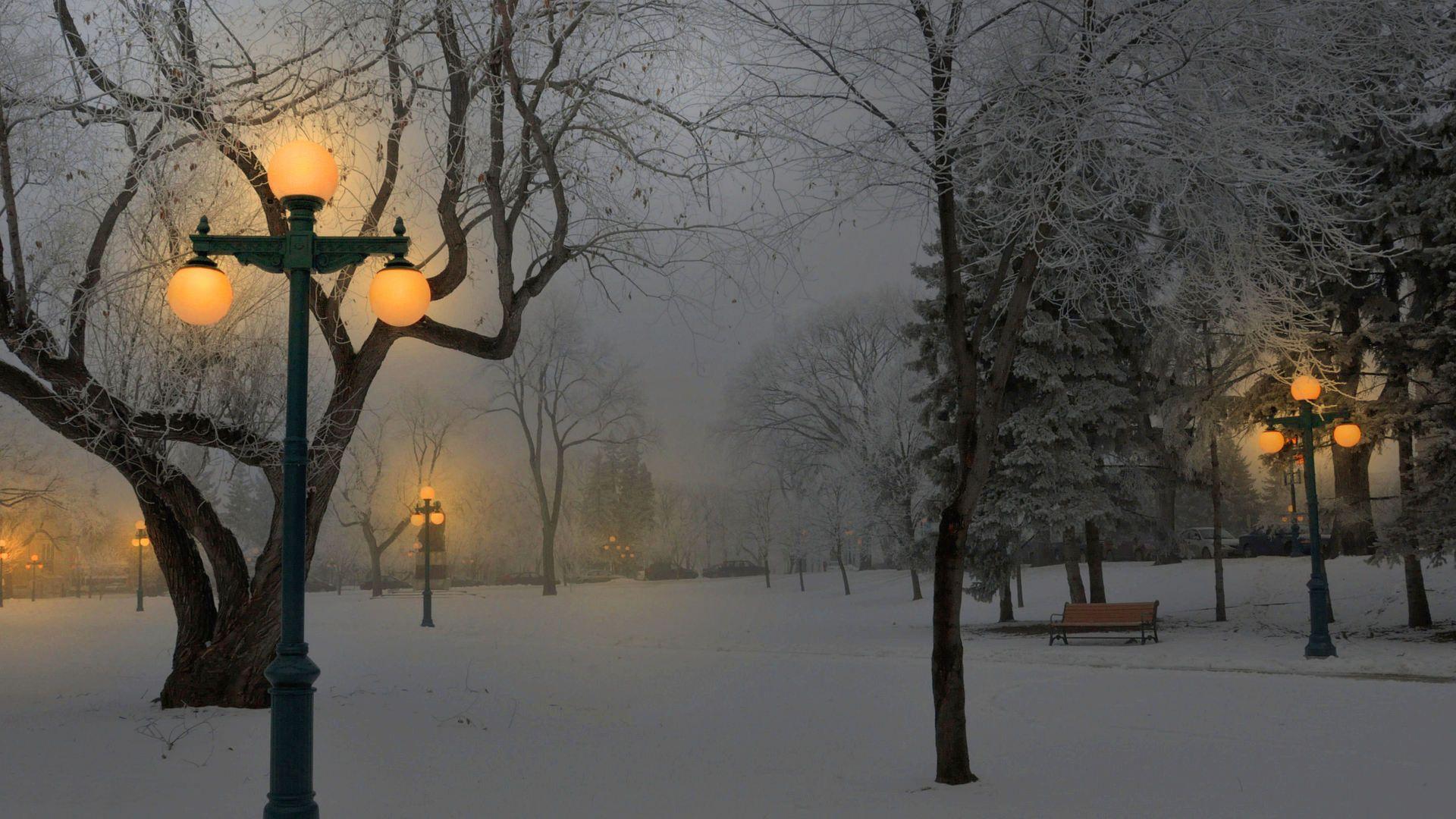Foggy Winter Night In A Park HD Desktop Background wallpaper