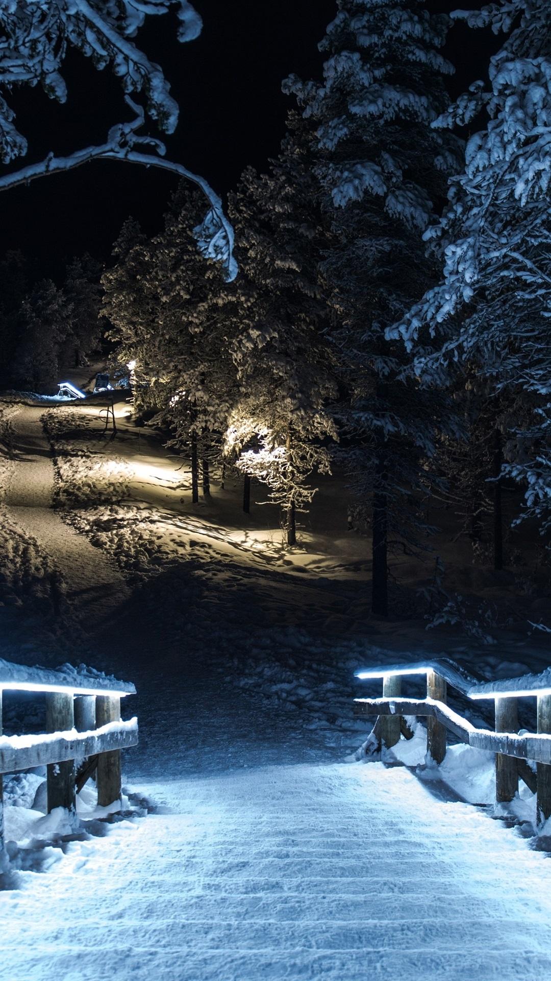 Winter park at night, snow, trees, wood stairs, lights