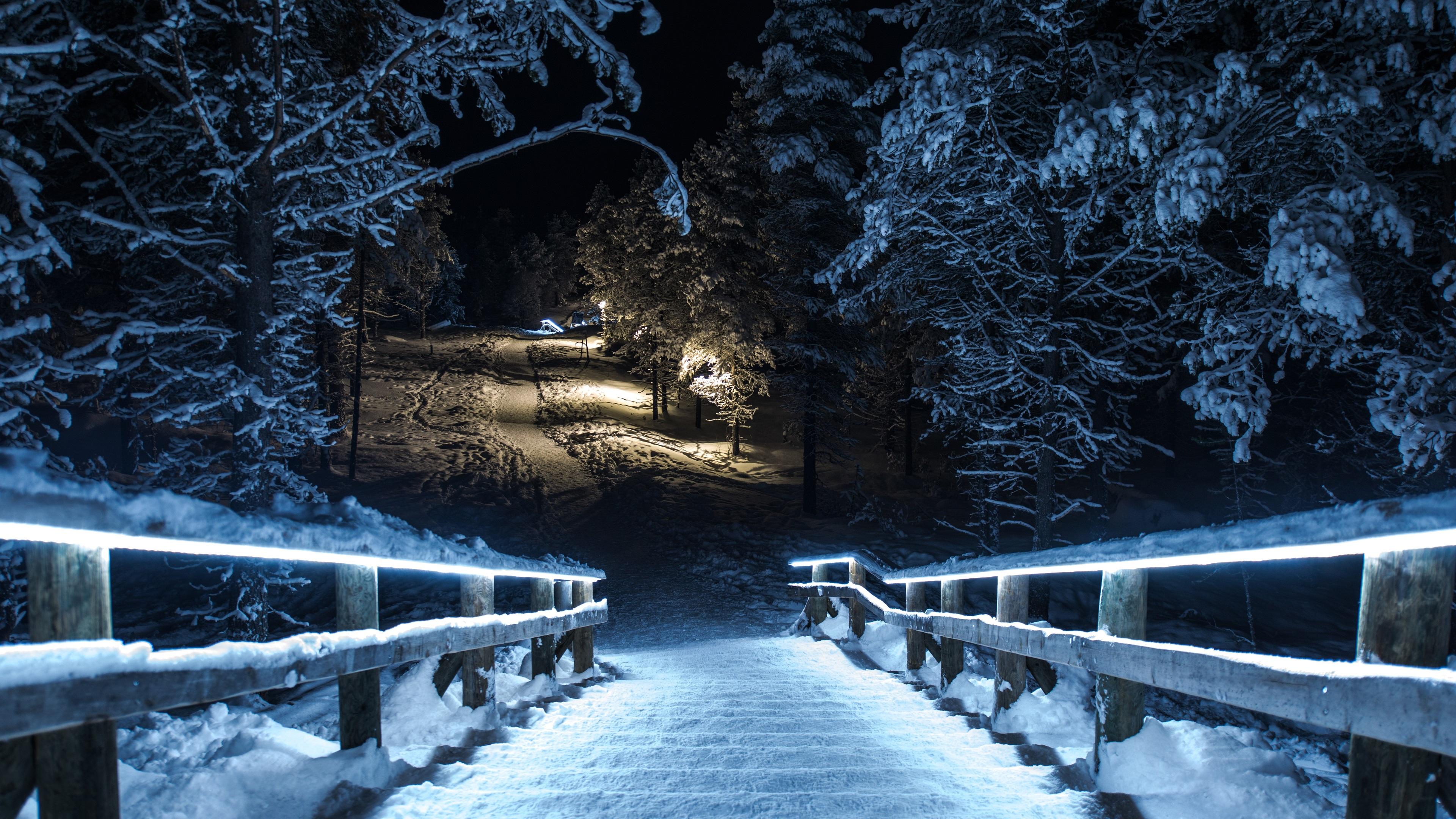 Wallpaper Winter park at night, snow, trees, wood stairs