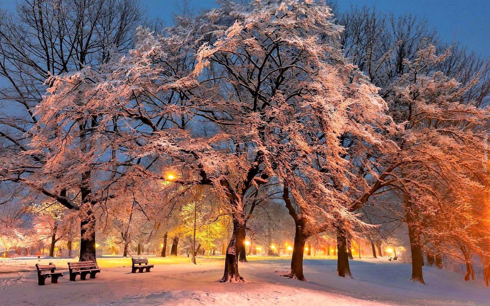 Winter Park at Dusk HD Wallpaper. Background Image