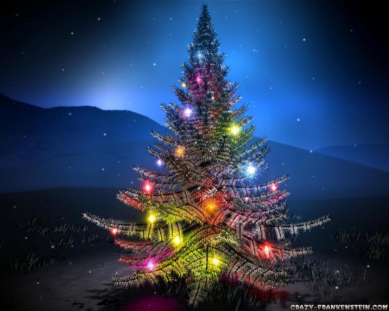 Christmas Tree At Night wallpaperx1024