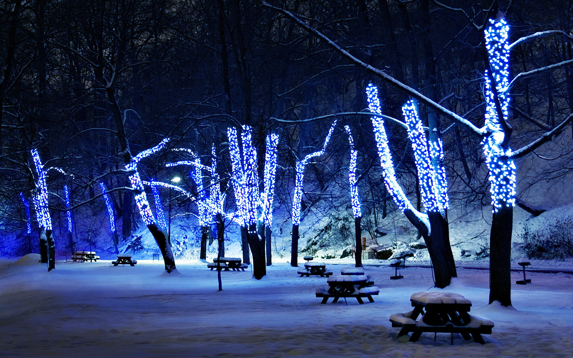 Lights trees park bench picnic tables winter snow night