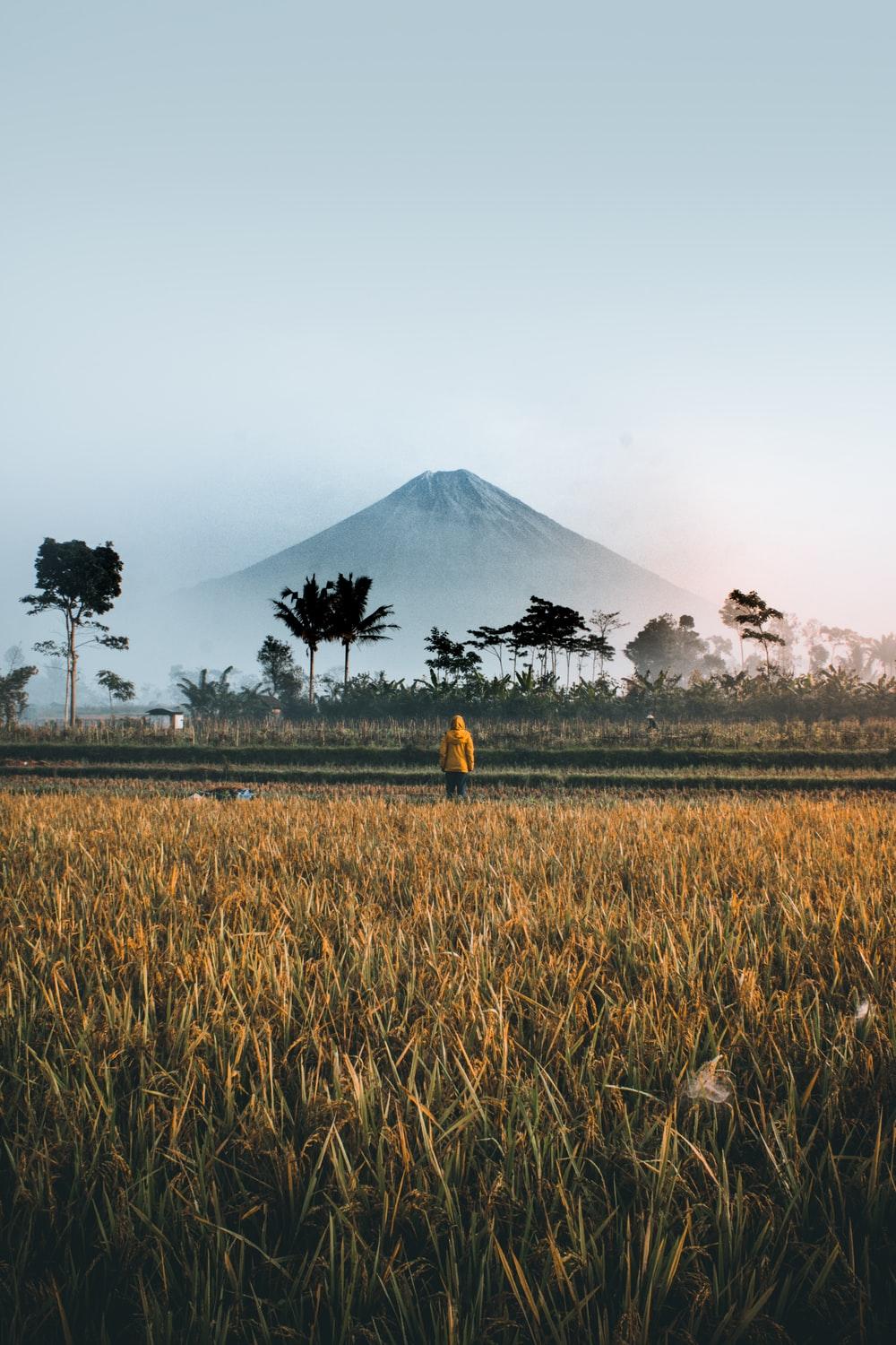 Stunning Indonesia Picture. Download Free Image