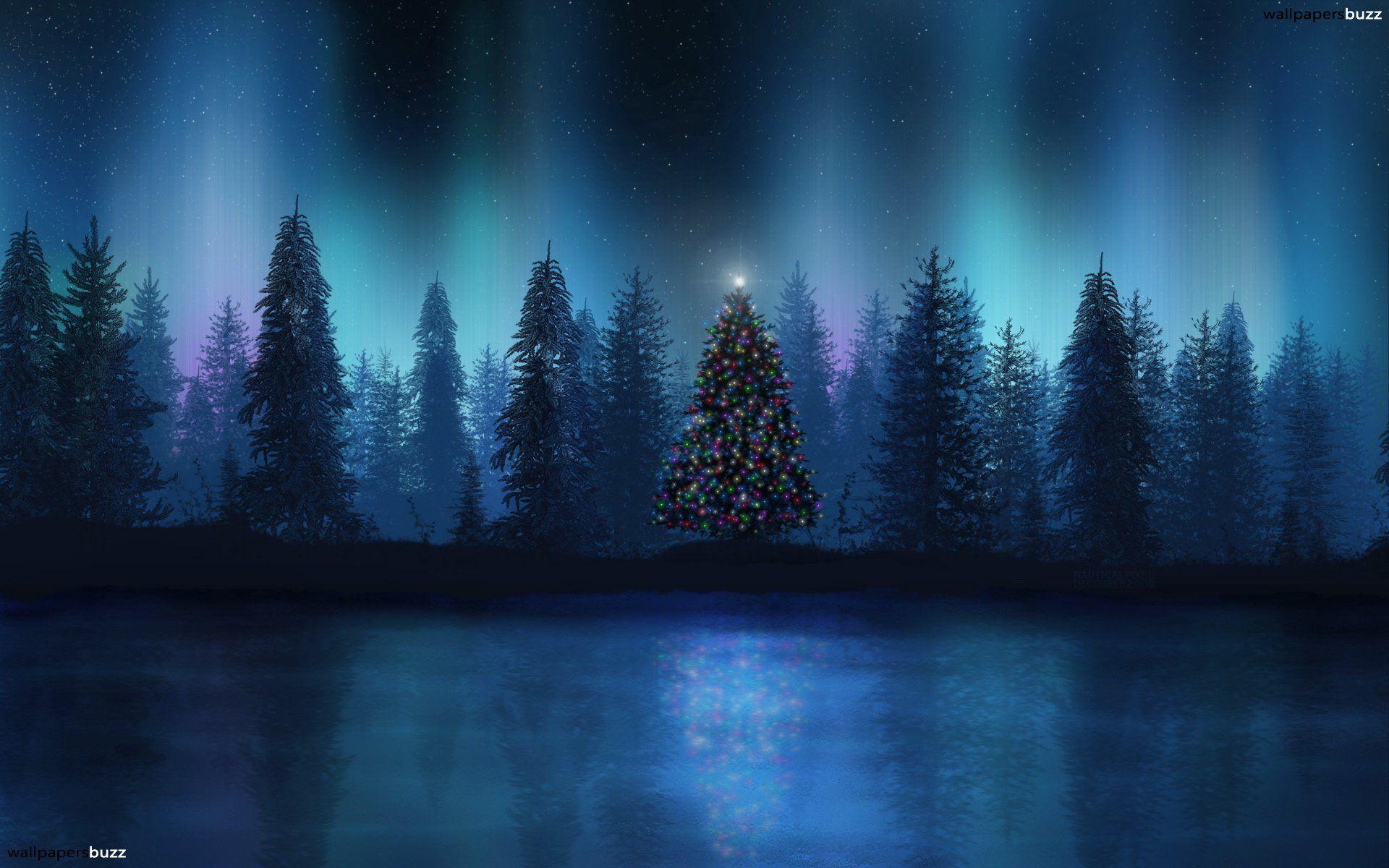 Christmas Forest Wallpaper Free Christmas Forest