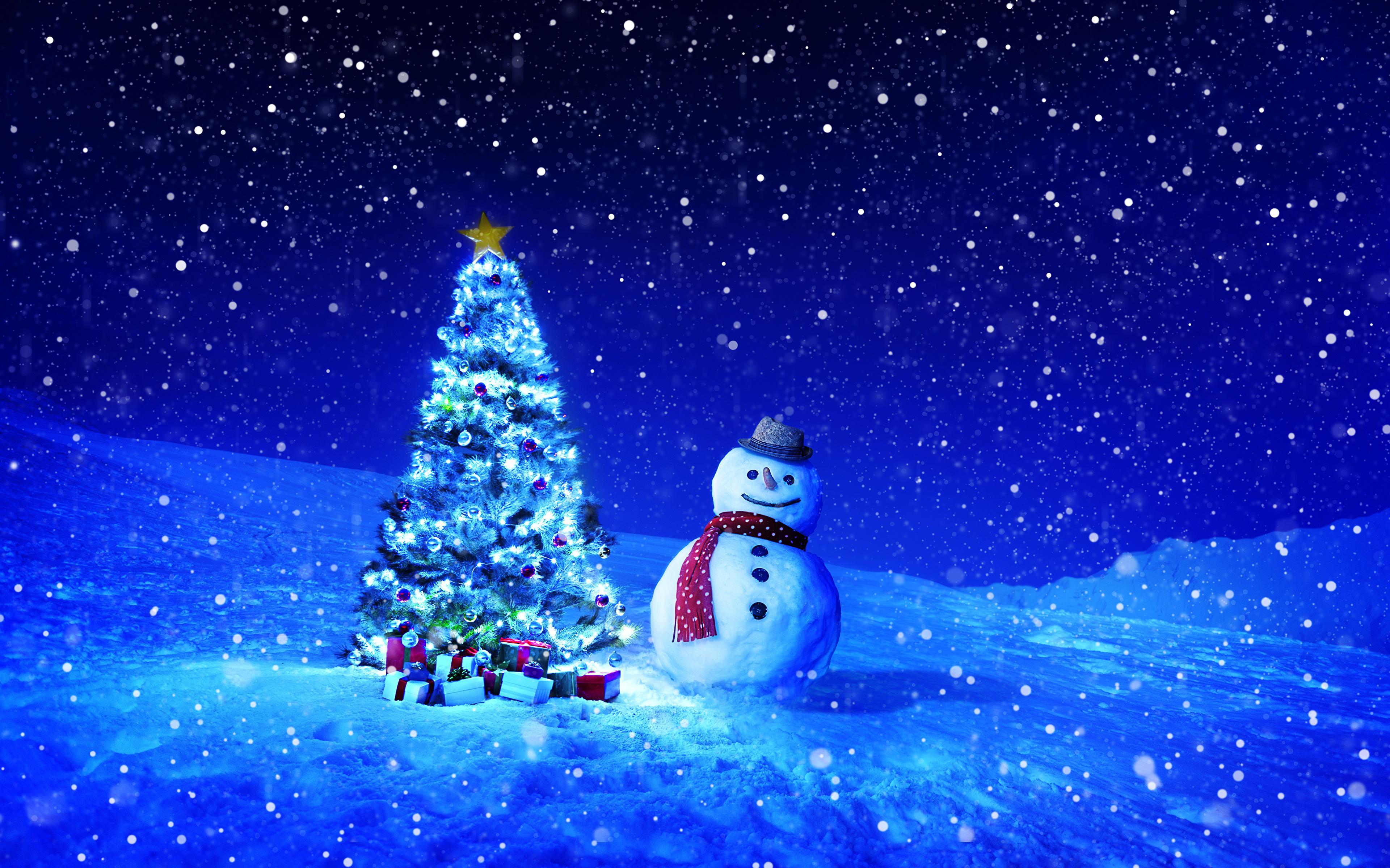 Desktop Wallpaper Christmas Winter New Year tree Sky Snow