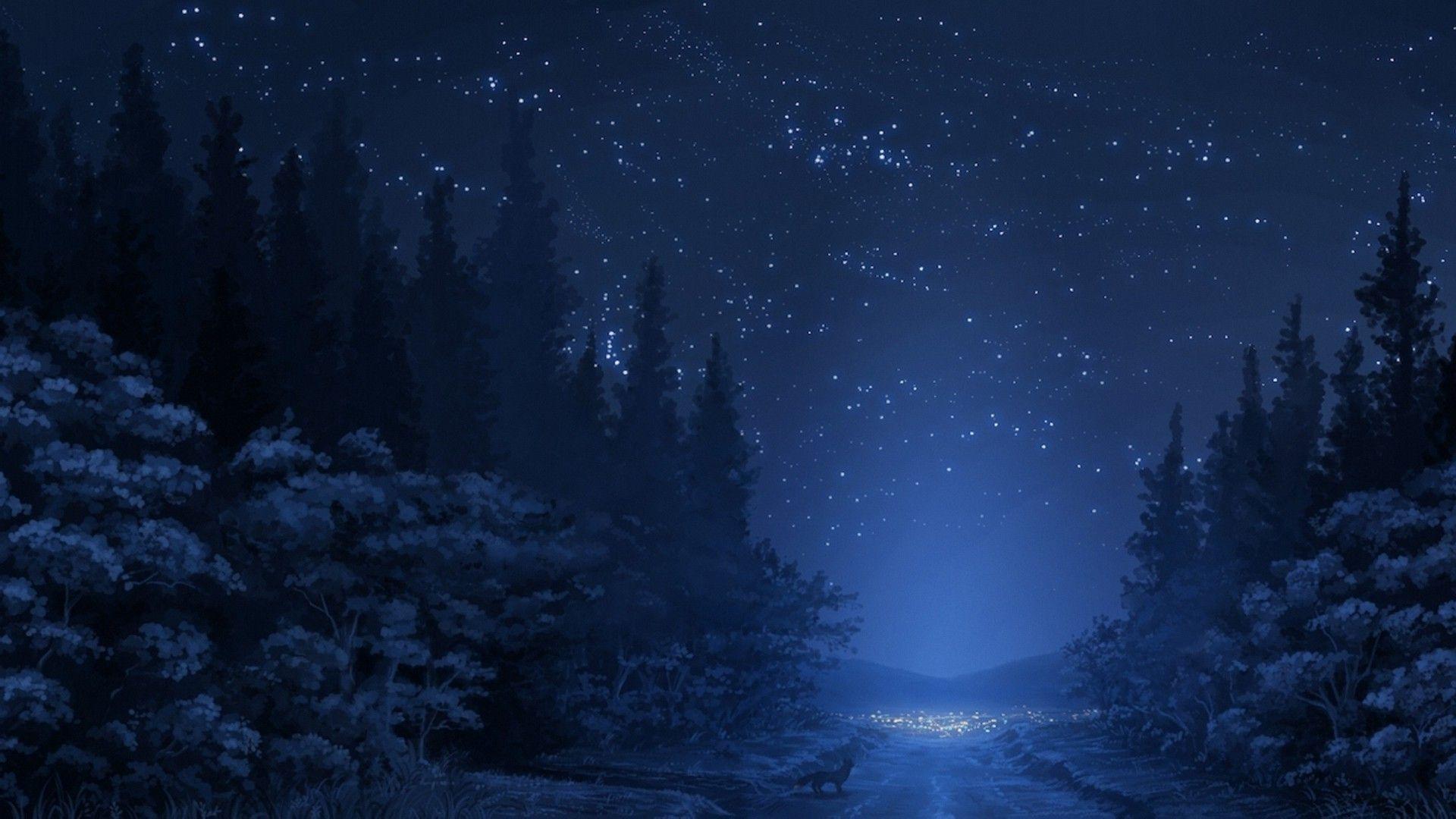 road, Stars, Night, Fox, Forest, Trees, Anime
